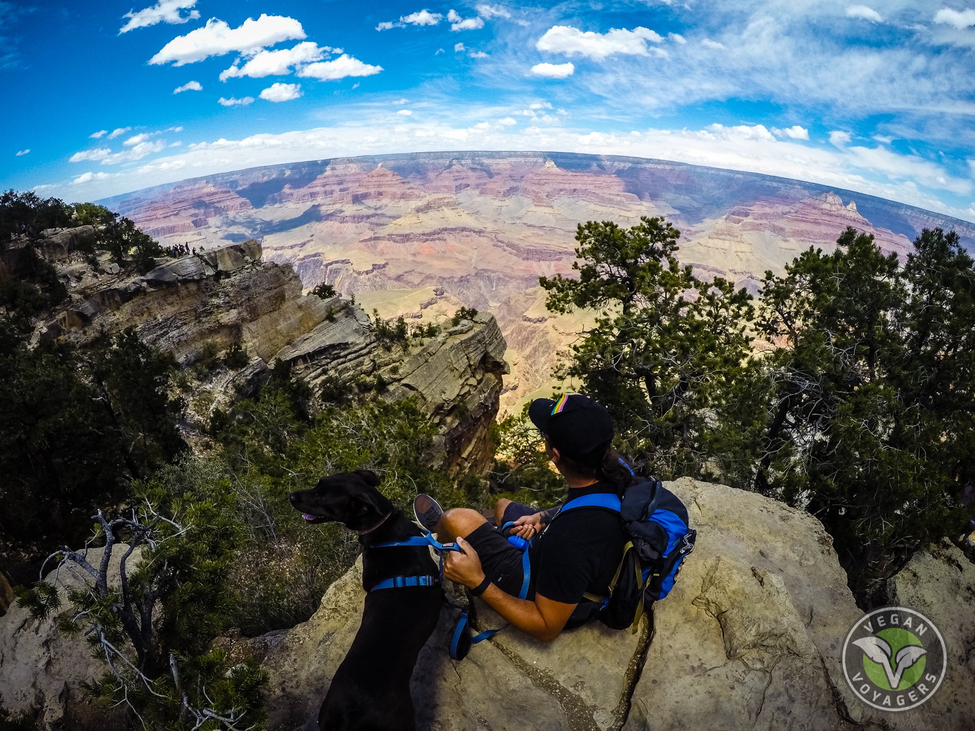 Aaron with dog Lulu at the Grand Canyon