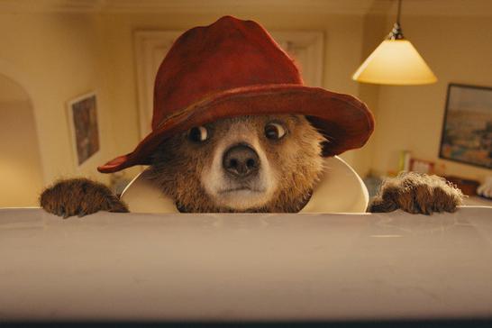 Hollywood: the 2014 film ‘Paddington’ introduced the bear to a new generation