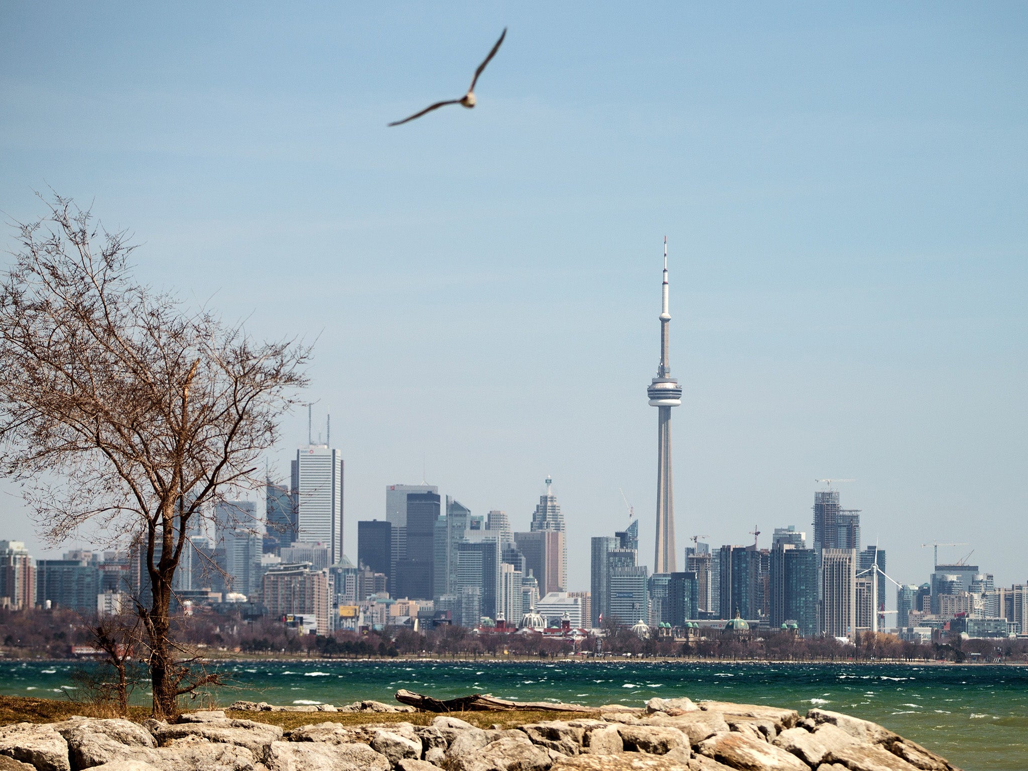 &#13;
Toronto in Ontario. This summer the province's government is giving out payments to randomly selected individuals and families in need &#13;