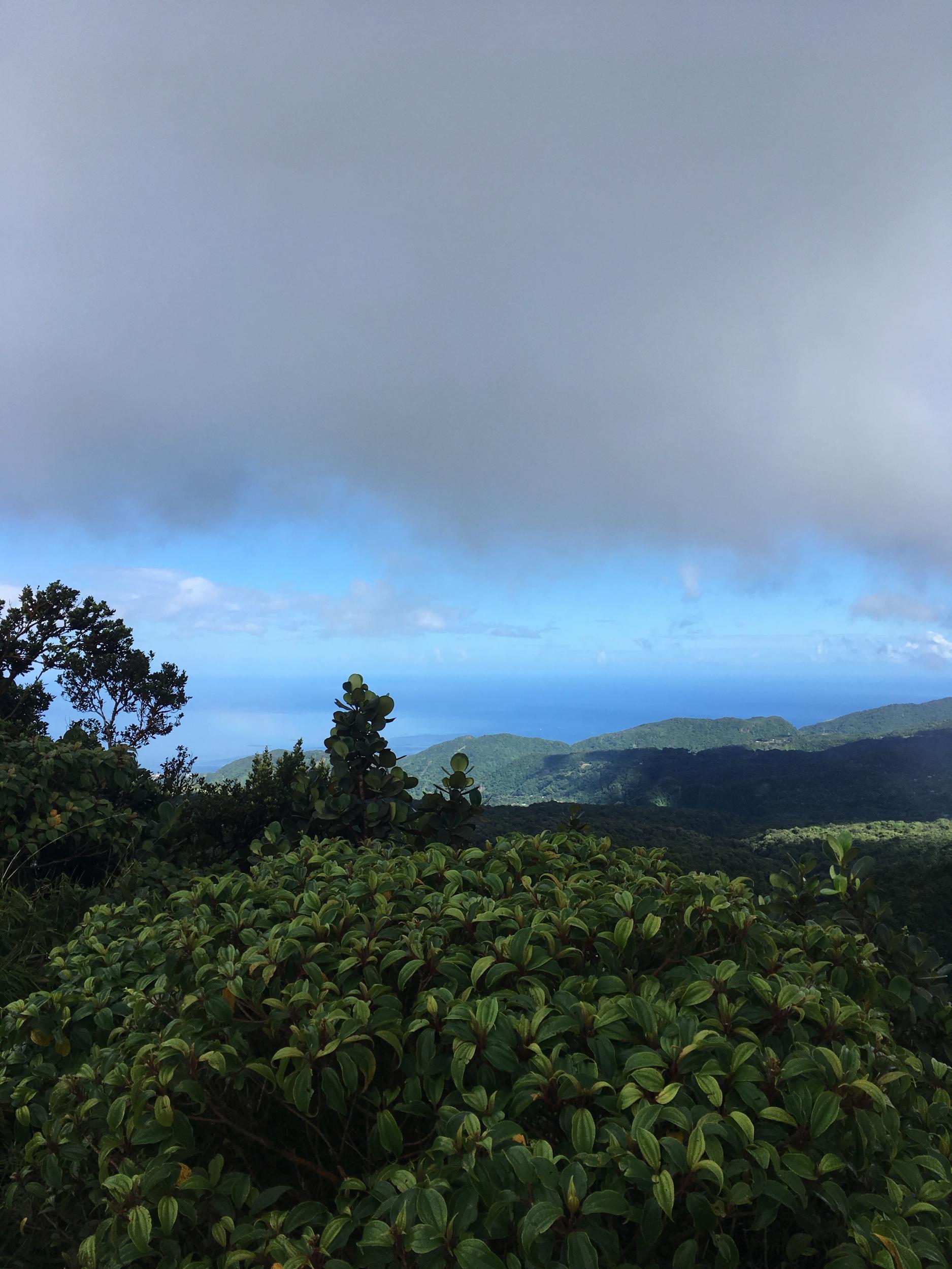 The view from the top: mountain mist meets blue sky meets sea