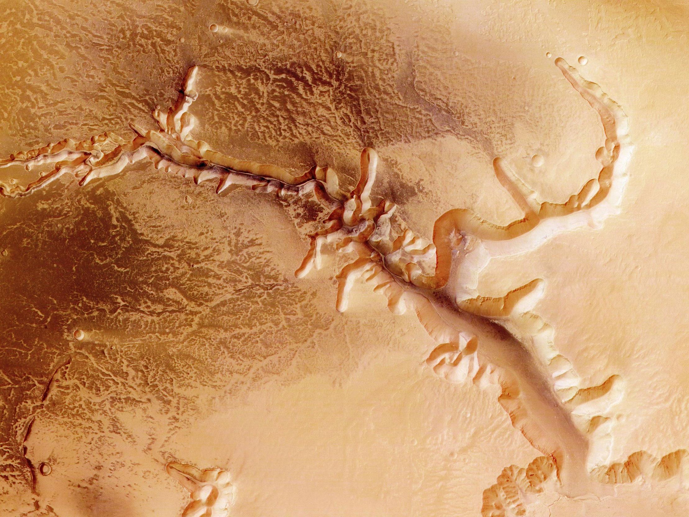 The Echus Chasma, one of the largest water source regions on Mars