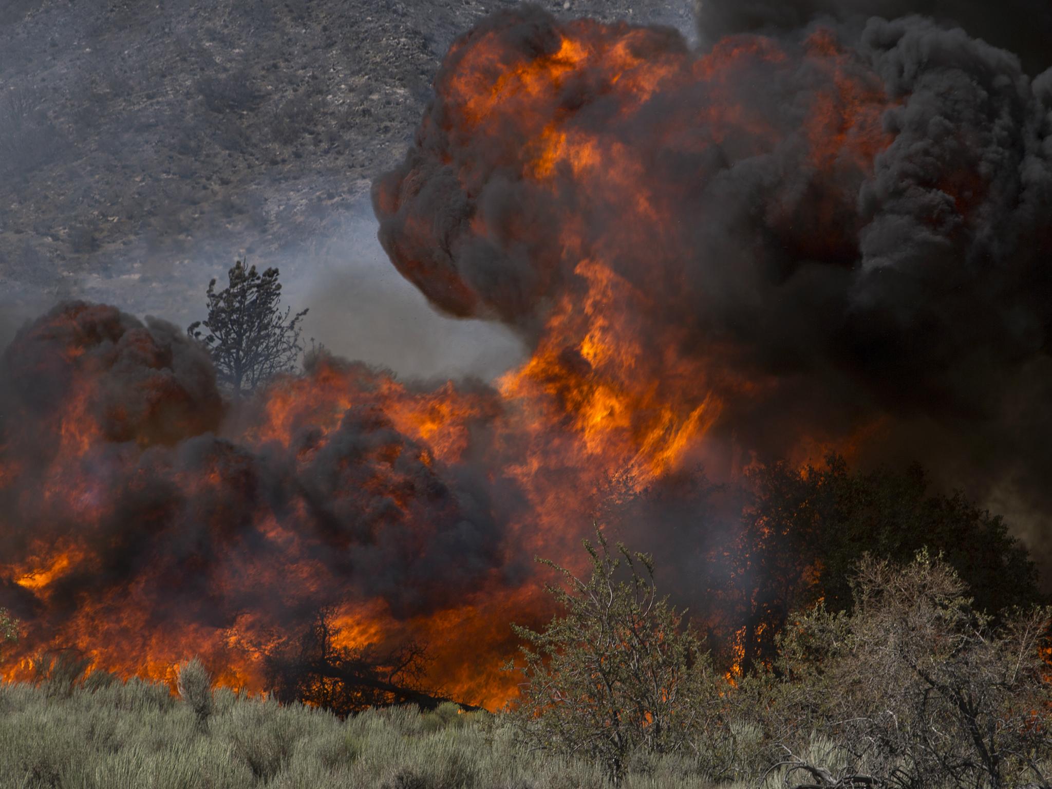 Intense flames driven by extreme drought conditions, wind and hot weather sweep over a remote section of the San Bernardino National Forest during the Blue Cut Fire on 18 August 2016 near Wrightwood, California