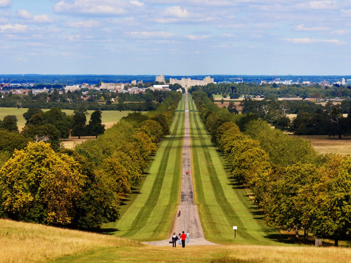 Windsor Great Park