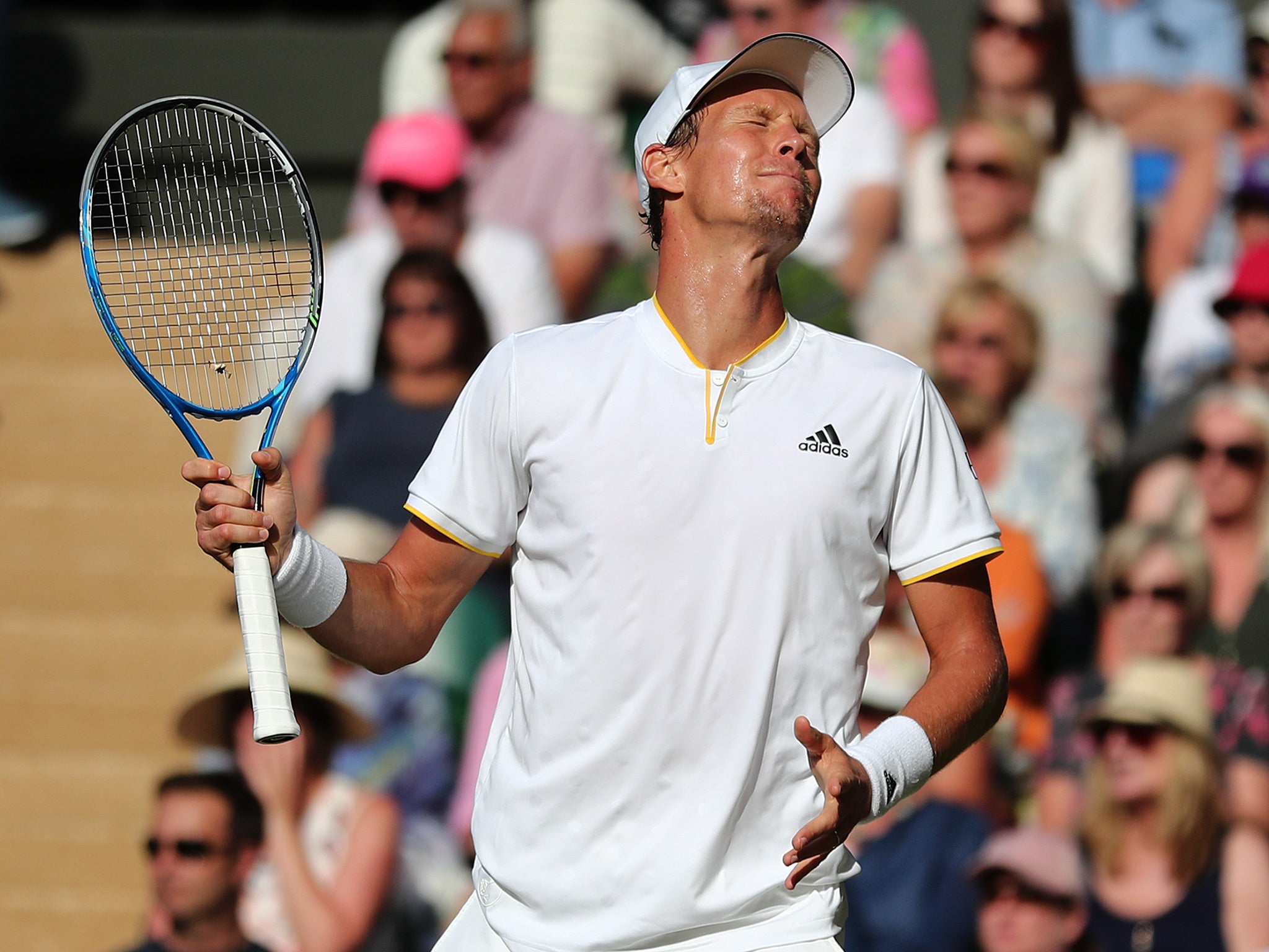 Berdych showed resistance but was well beaten