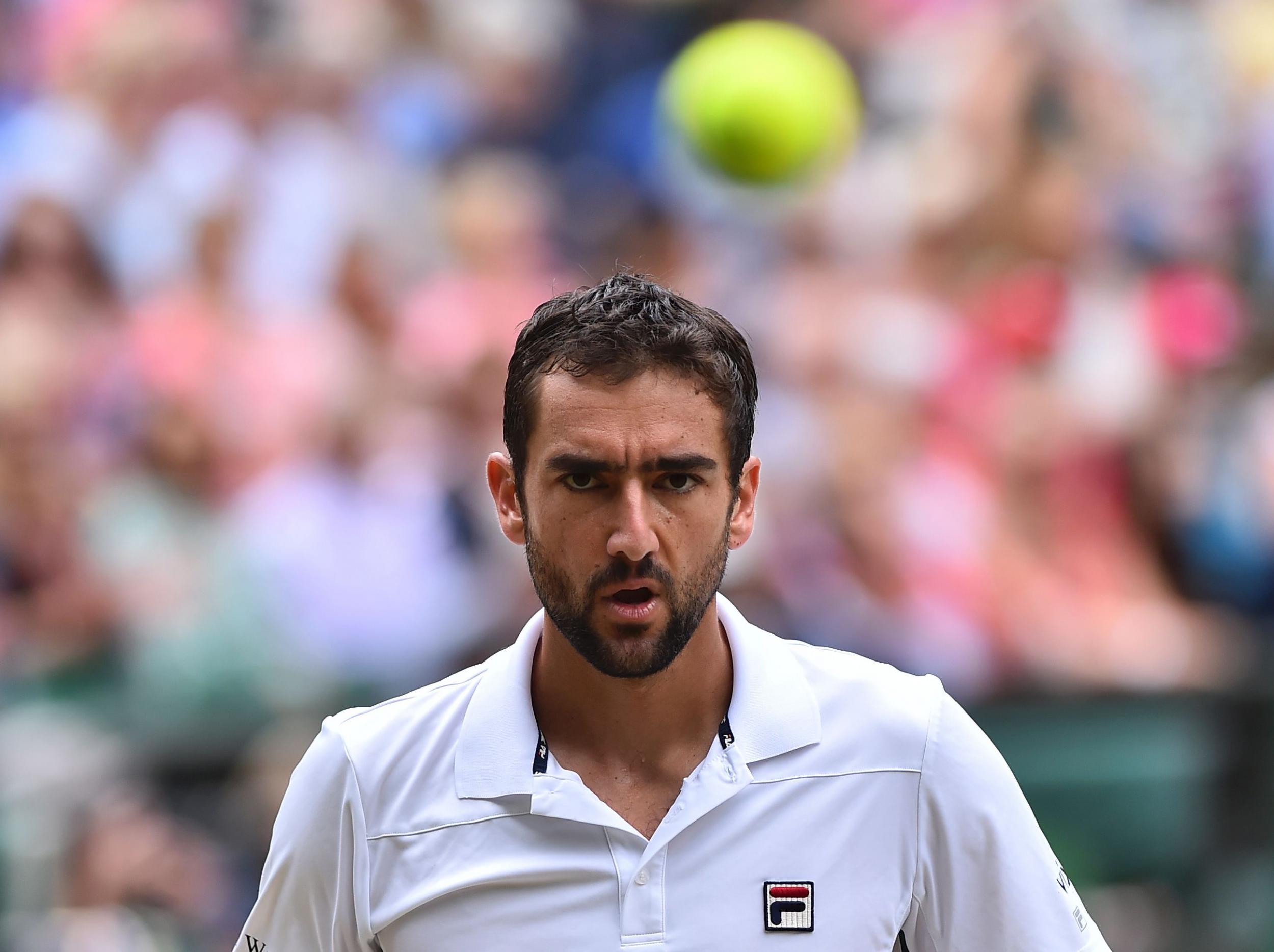 Cilic is the underdog