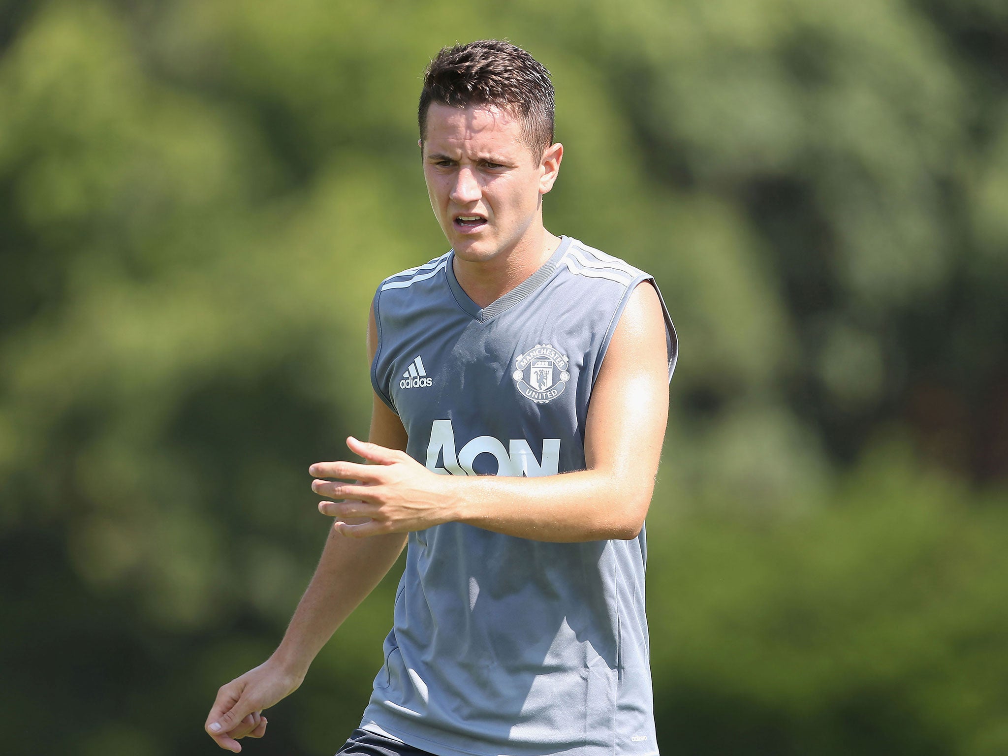 Herrera denies any involvement