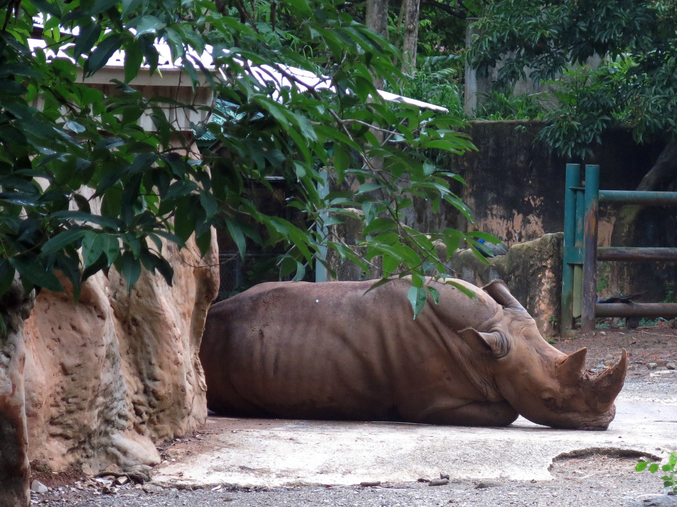 A petition calling for the zoo’s closure has been prompted by the zoo's run-down conditions, as well as recent deaths of a tiger and five lion clubs