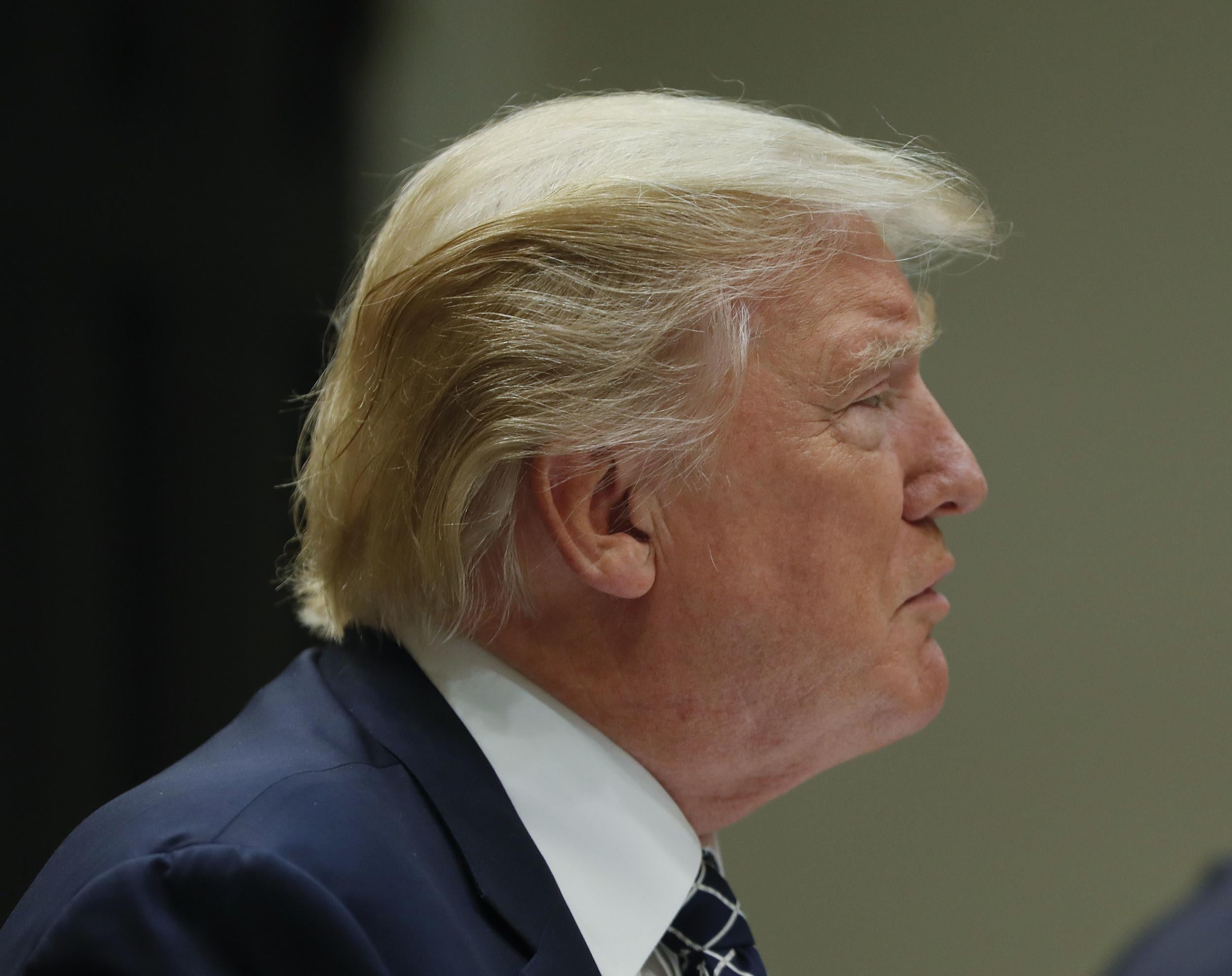 President Donald Trump