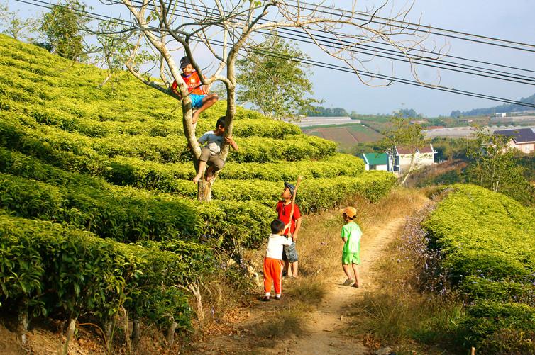 There was a time when children could be left to play