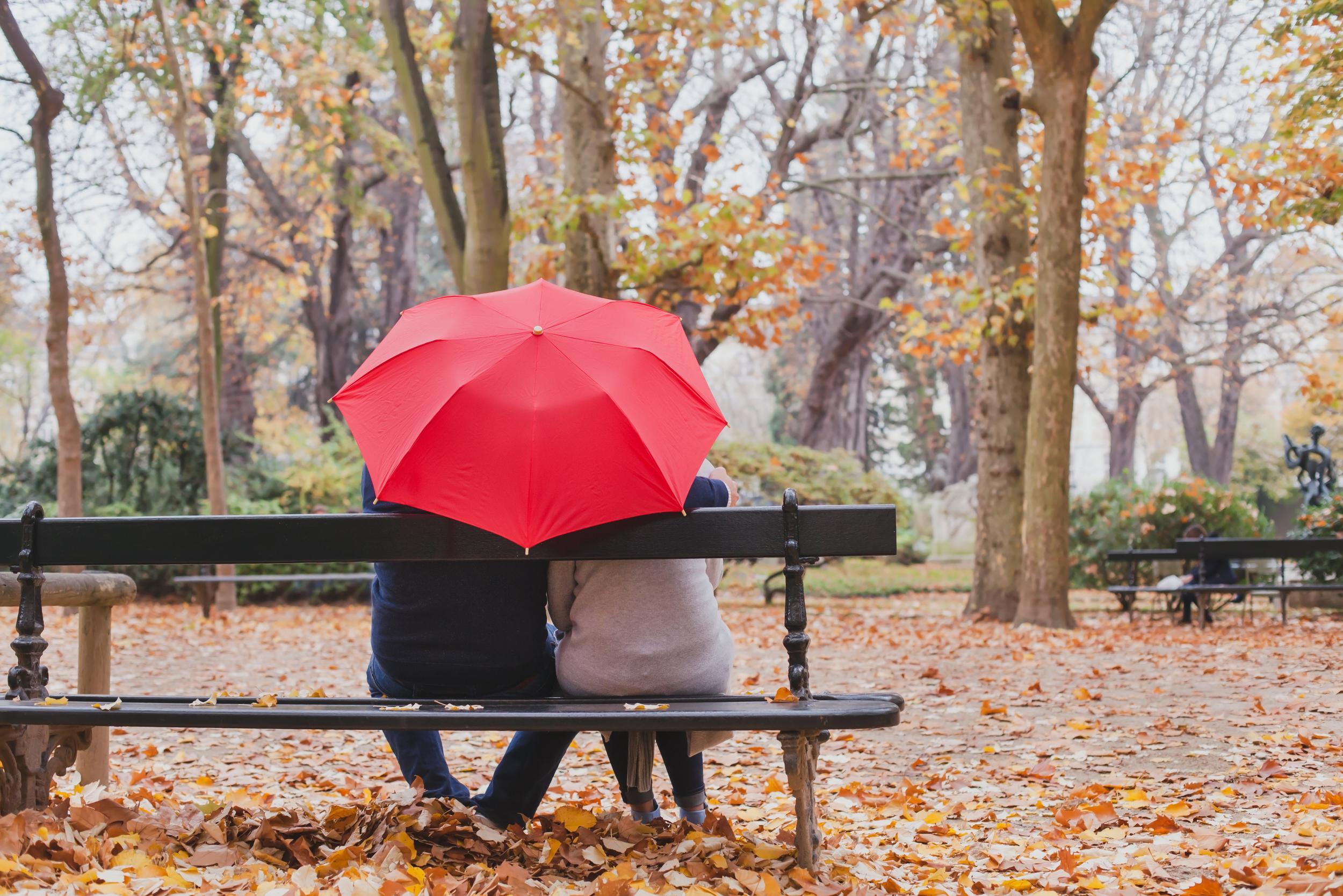 You never know who you'll meet sitting on a park bench in the rain...