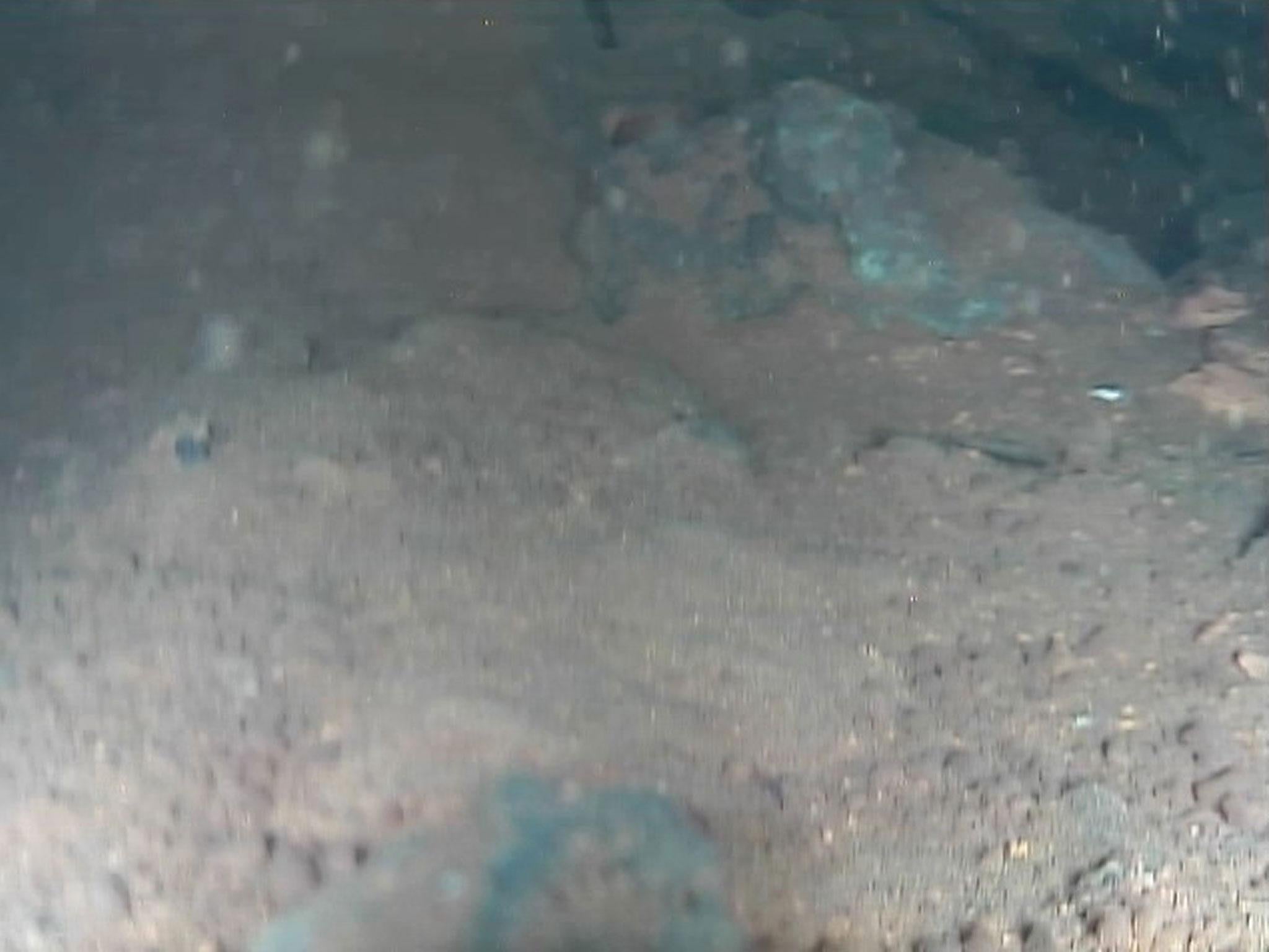 This image captured by an underwater robot shows massive deposits believed to be melted nuclear fuel covering the floor of a damaged reactor at Japan's crippled Fukushima nuclear plant in Okuma town, northeastern Japan