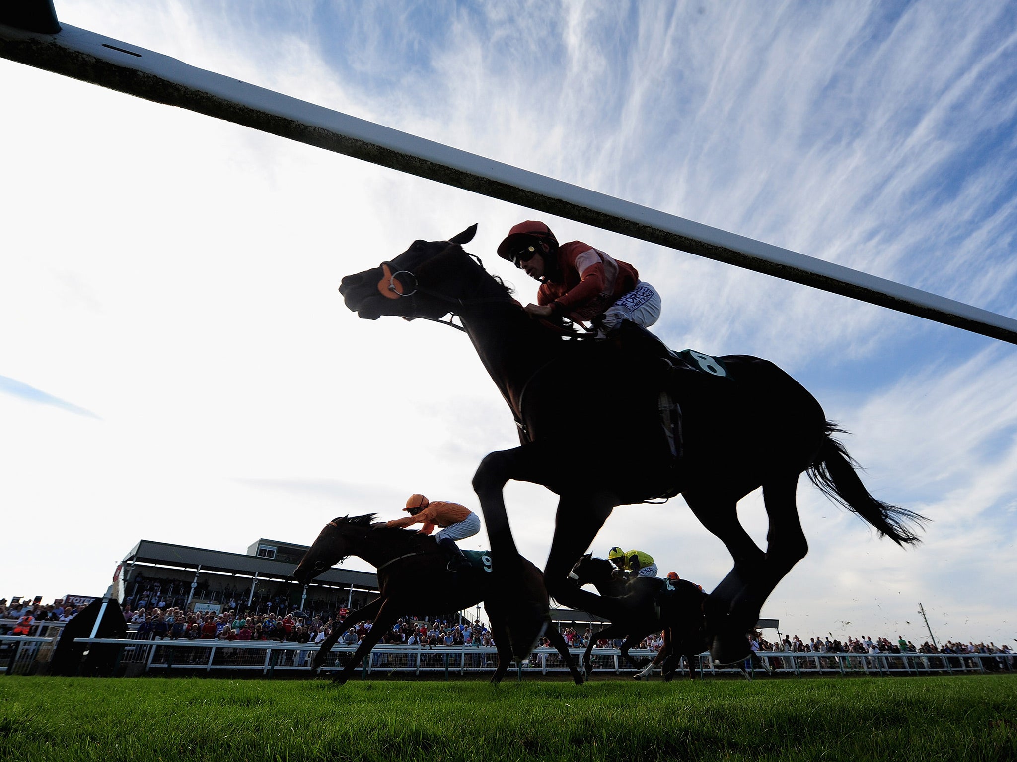 A general view of horse racing at Great Yarmouth, where the mix-up occurred