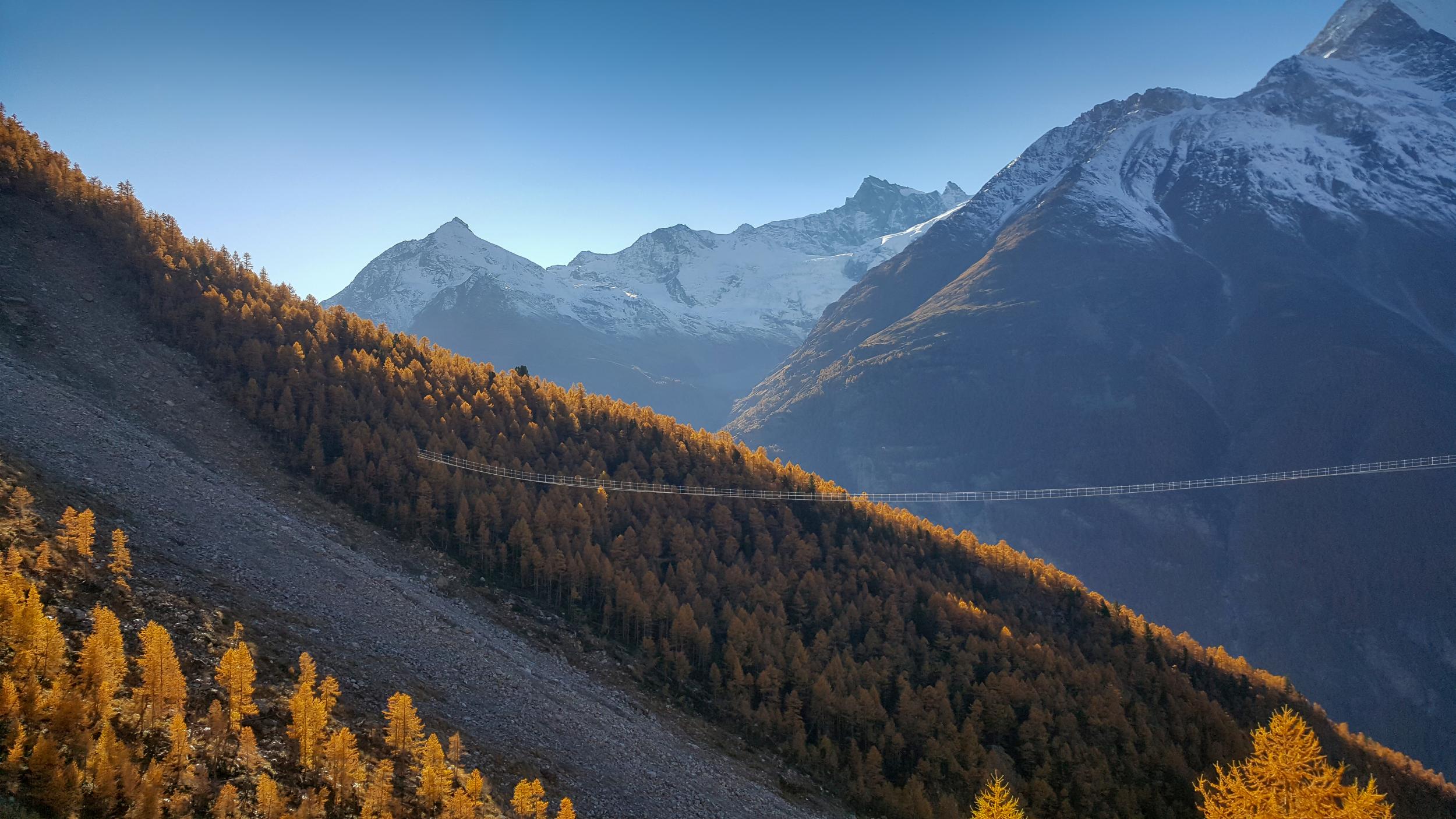 Bridge reaches 85 metres from valley floor at its highest point