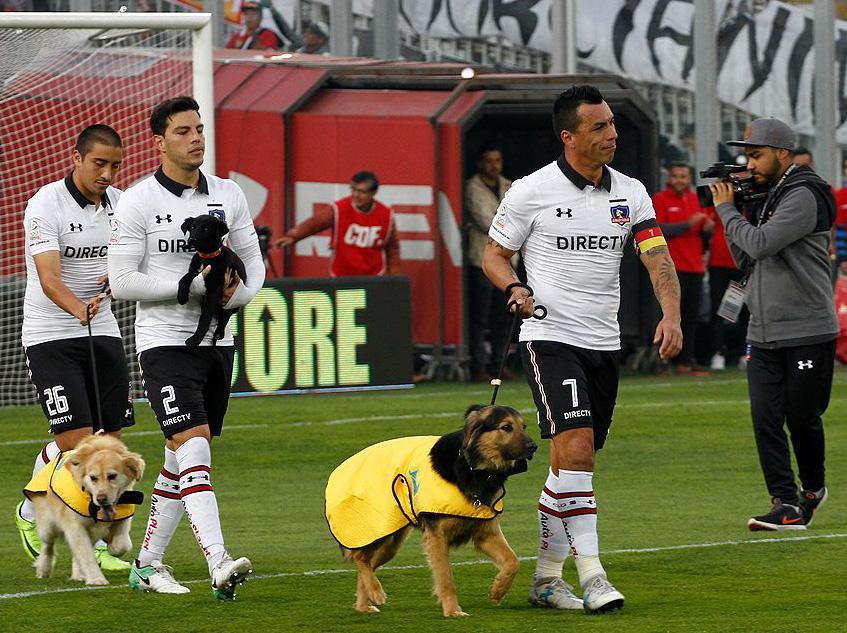 The Colo-Colo players - and their dog mascots - led out by captain Esteban Paredes