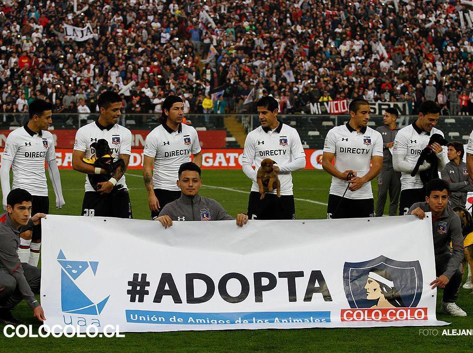 Colo-Colo players pose with their rescue dog mascots ahead of a 0-0 draw with Antofagasta