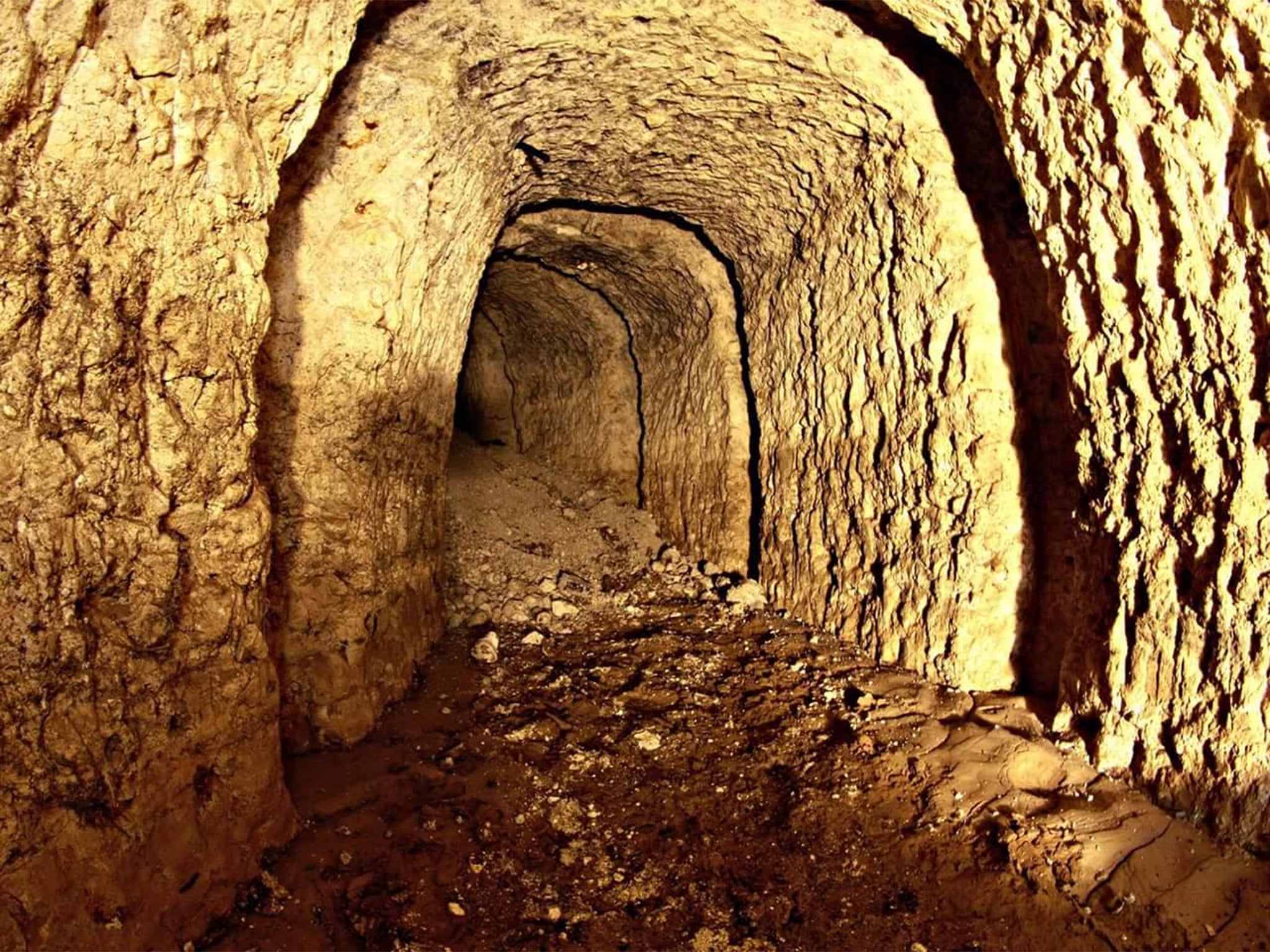 The tunnels are believed to have been used for wartime military training exercises