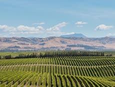 Why we need to give New Zealand sauvignon blanc a second chance