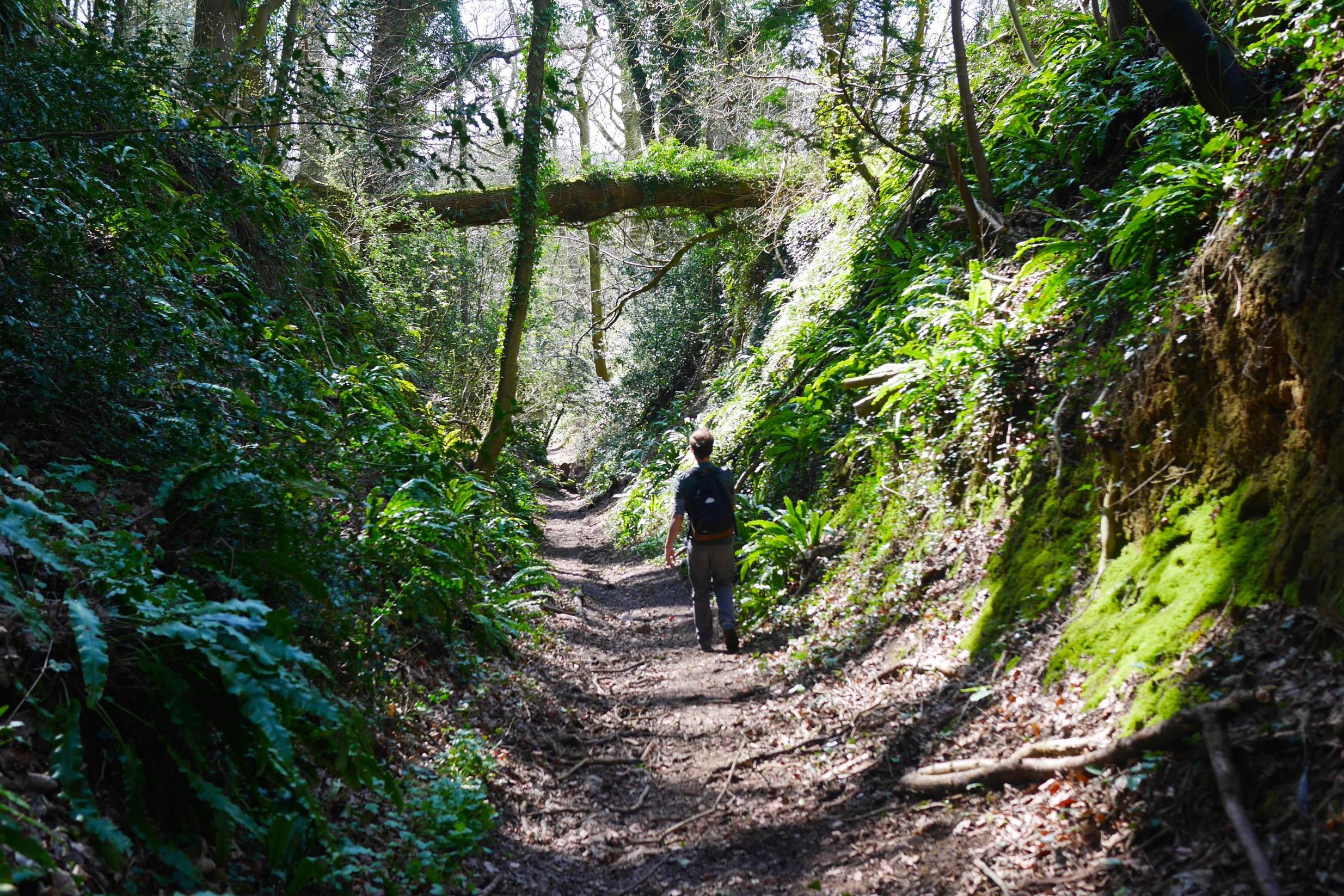 The Cotswold Way is a popular route