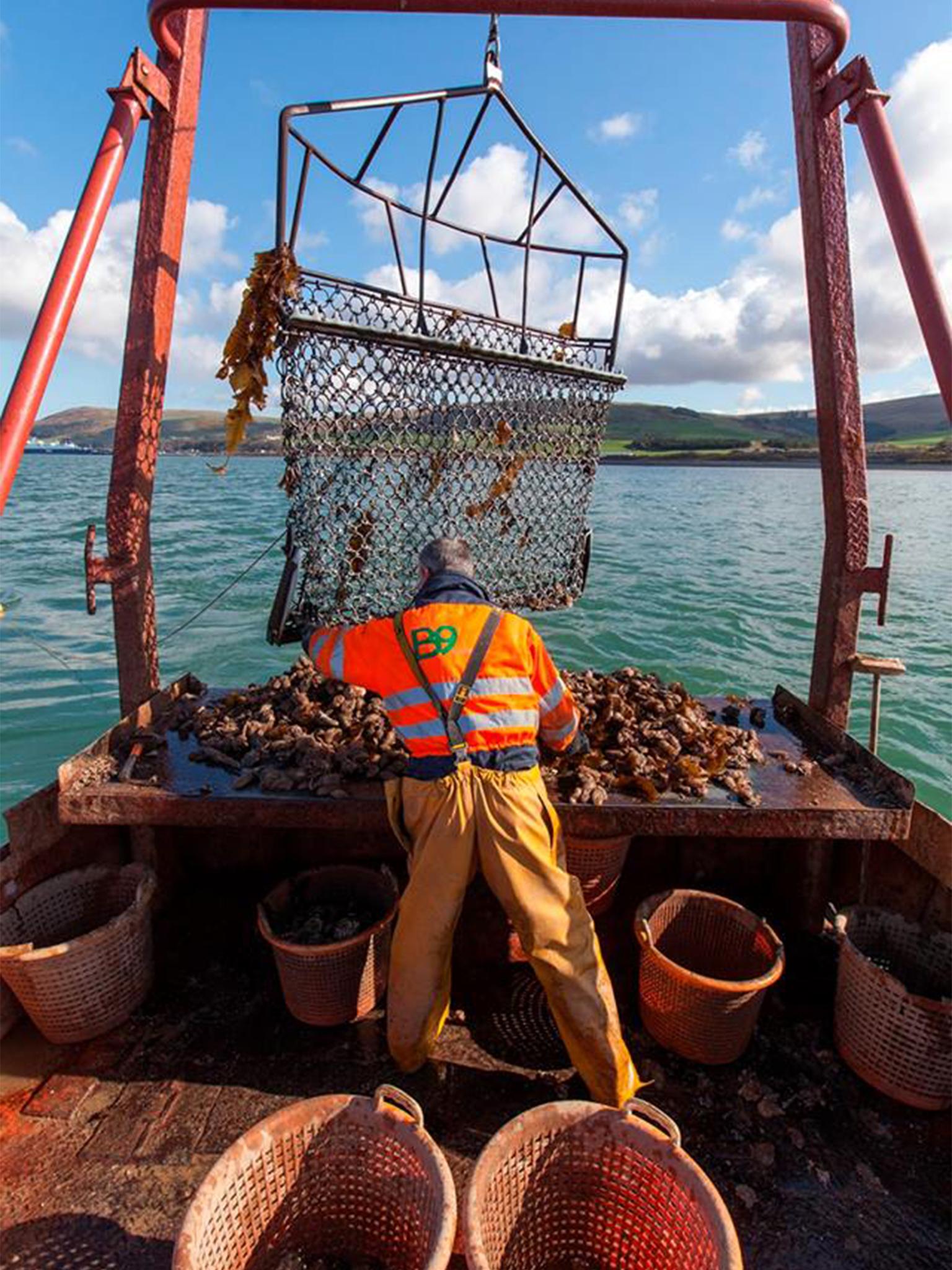 Check-in for the giant paella that will grace Stranraer