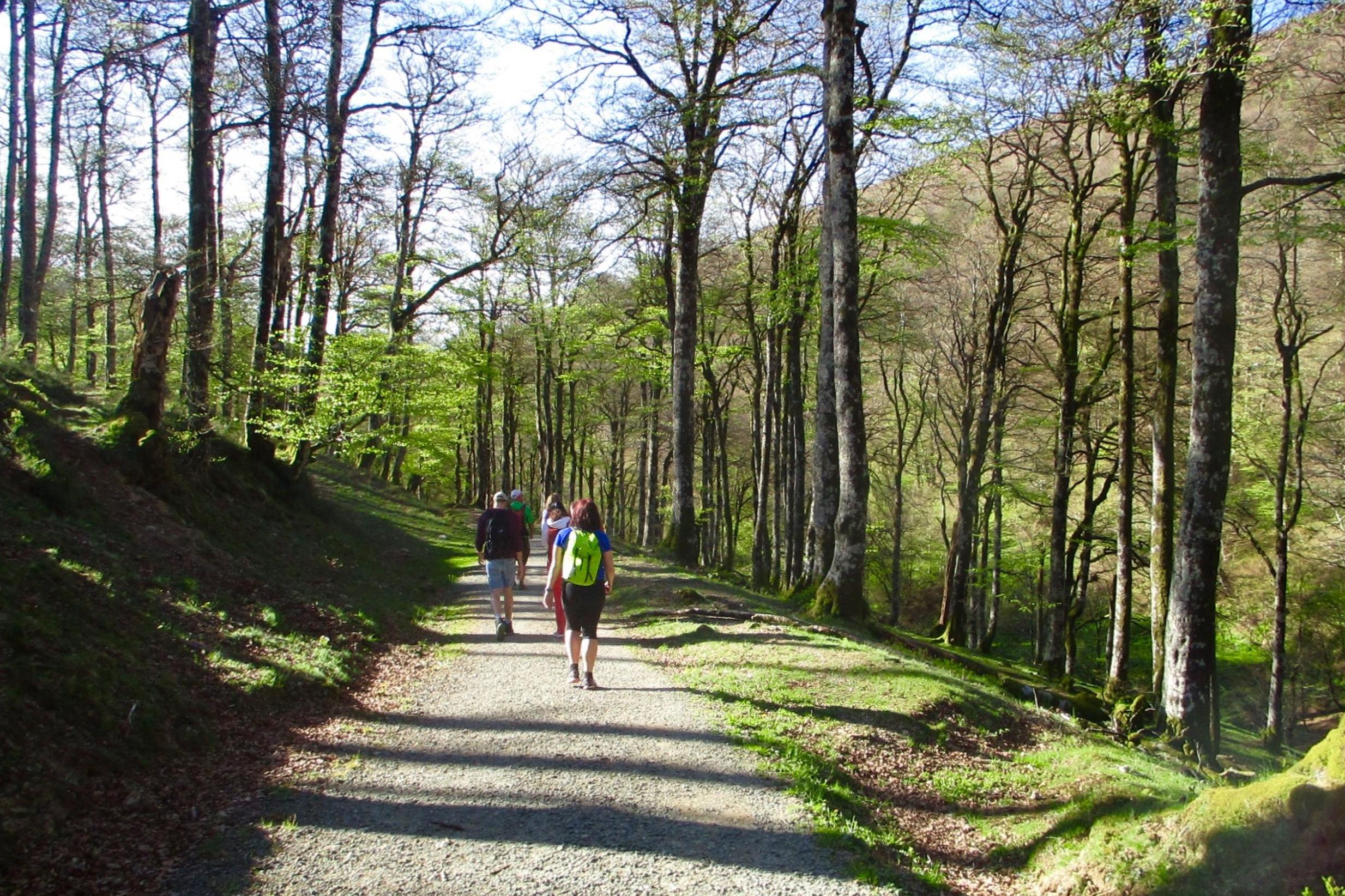 The Camino is a time for quiet contemplation