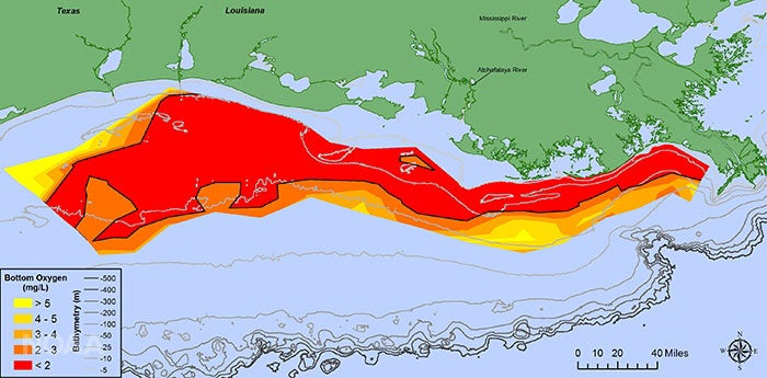 Gulf of Mexico dead zone July 2017