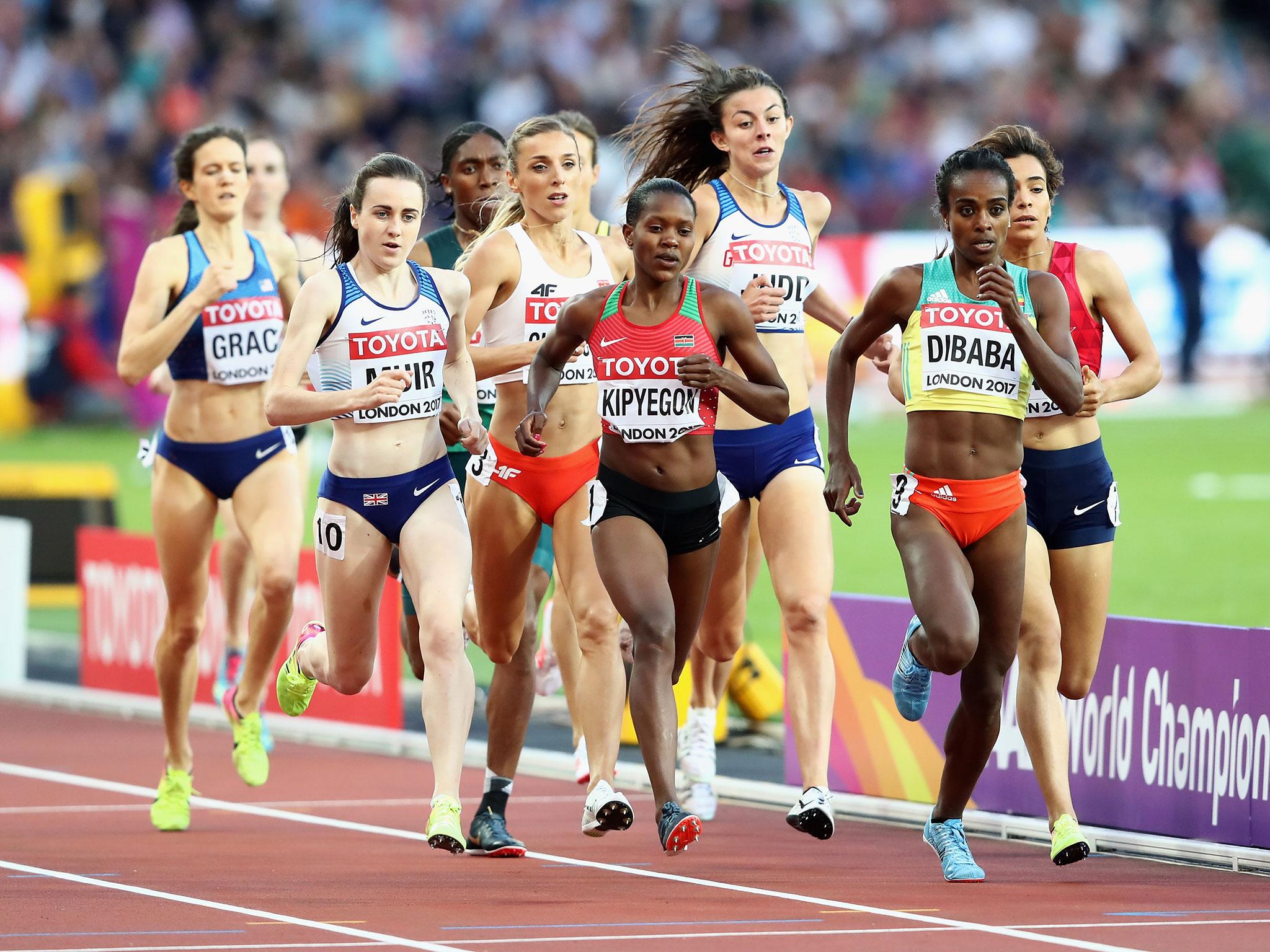 &#13;
Muir cruised into the 1,500m final in London &#13;