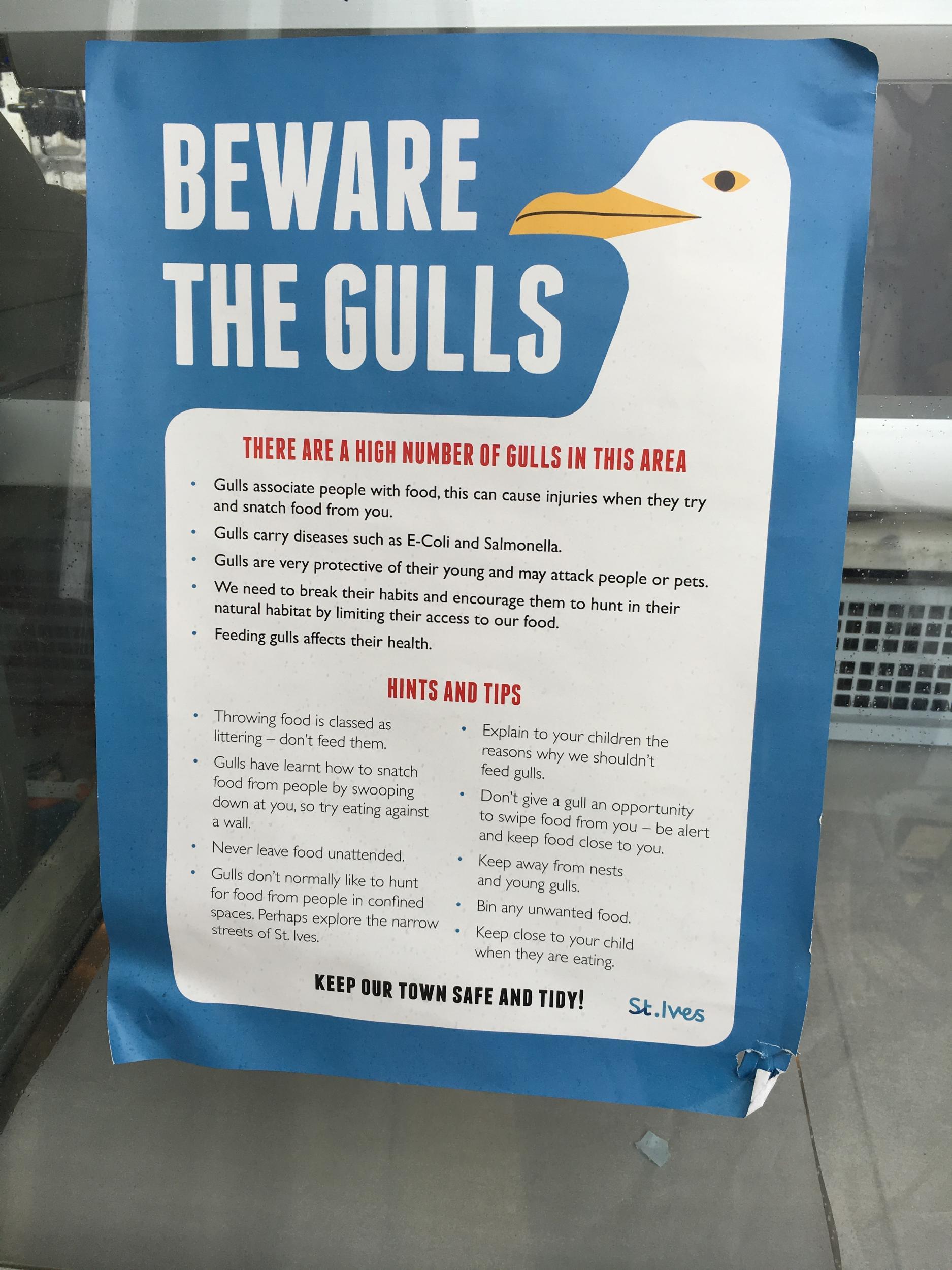 In Berwick, vigilantes are wandering the streets with firearms to sort out the gull problem