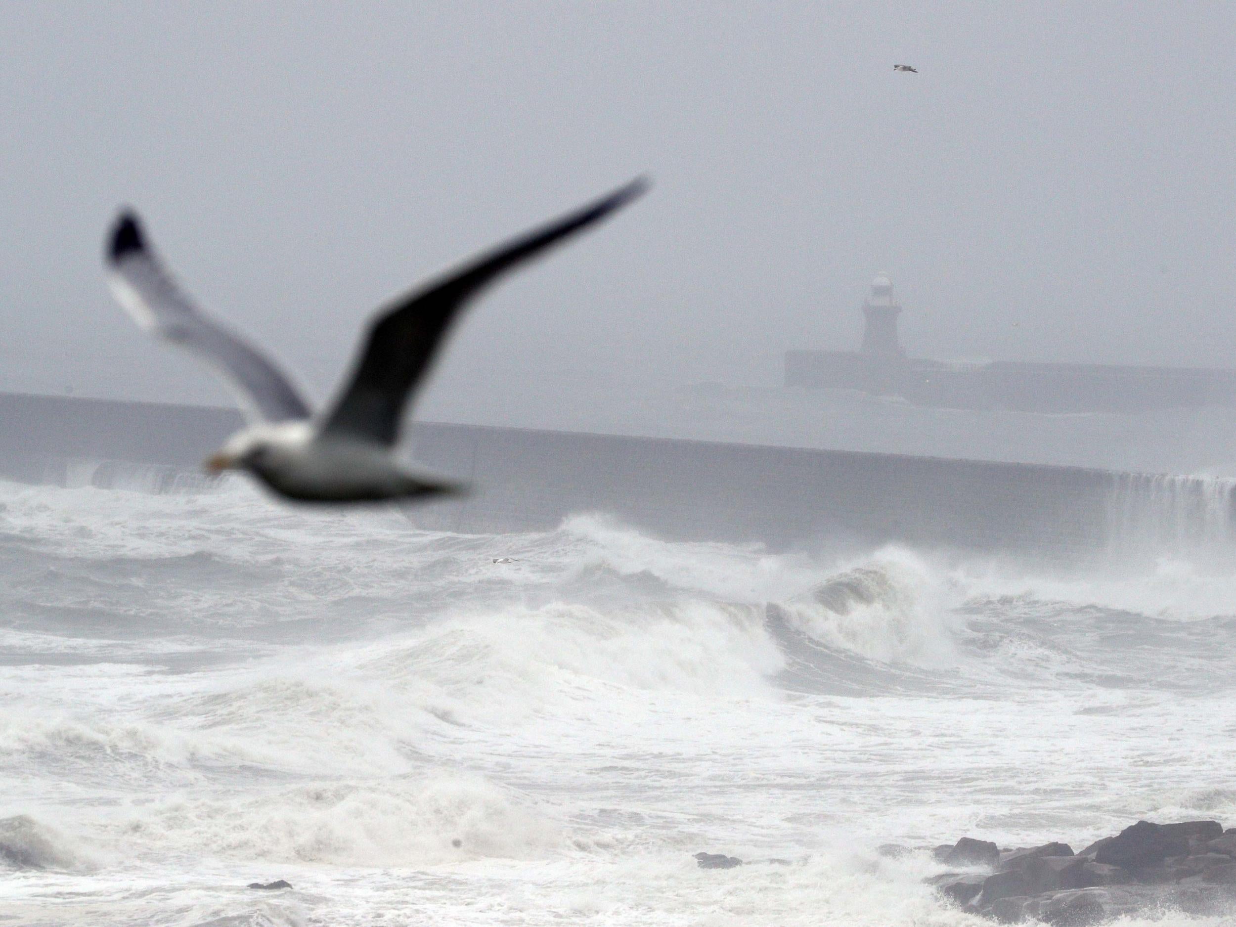 A grey, cold and wet day on the north east coast