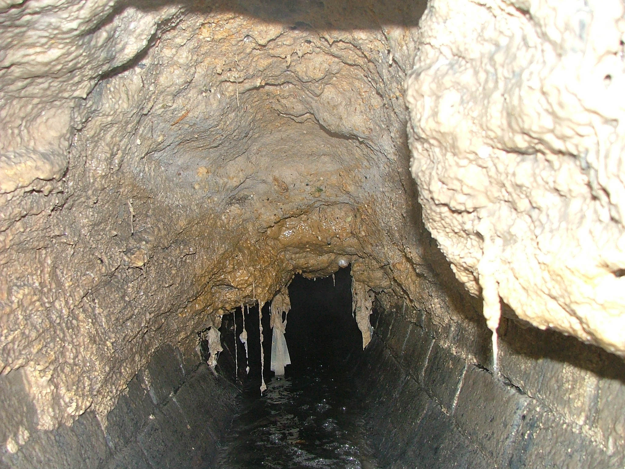 Fats, oil and grease cause a stink as they clogg up the waste disposal arteries of our cities – the good news is ‘fatbergs’ can be tapped to create biodeisel