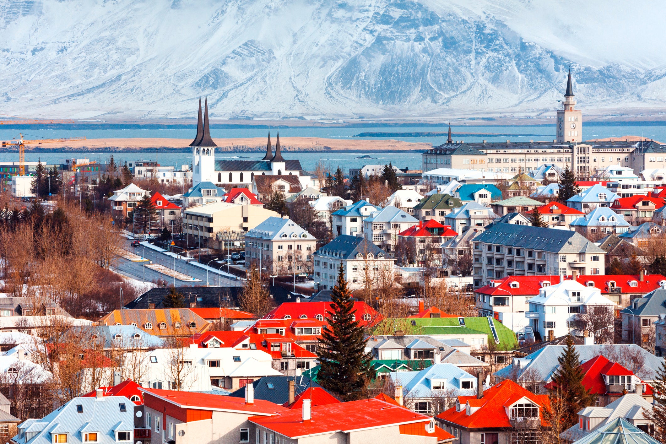 On average, just one or two babies with Down's syndrome are born each year in Iceland