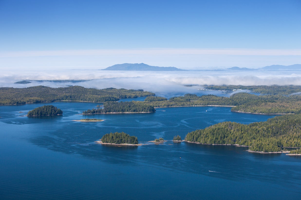 Haida Gwaii is working to restore its natural habitat (Getty/iStock)