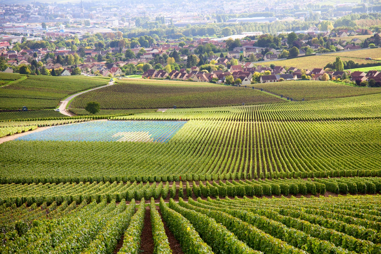 Stop in the Burgundy region for excellent food (Getty/iStockphoto)