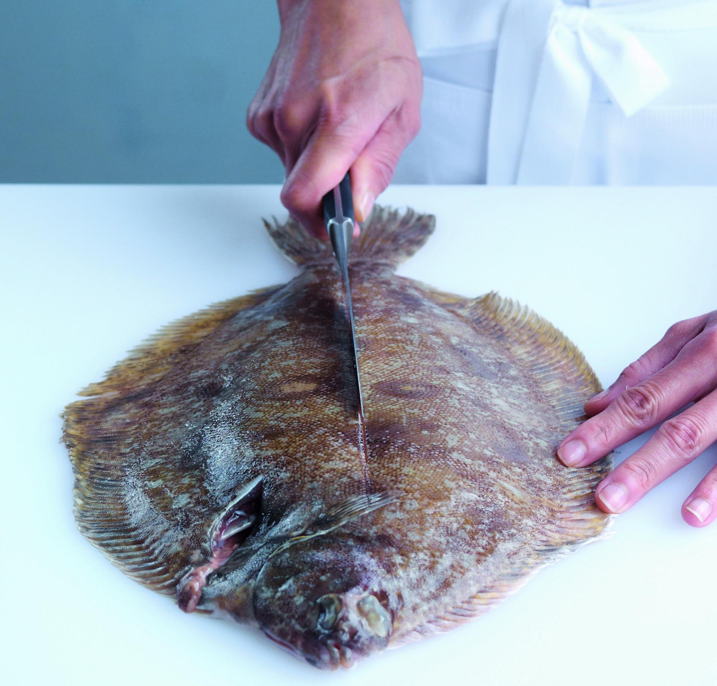 1. Place the fish on a board, tail end towards you and darker side uppermost. Using a fish filleting knife, make an incision along the natural line running down the middle of the fish, from behind the head down to the tail