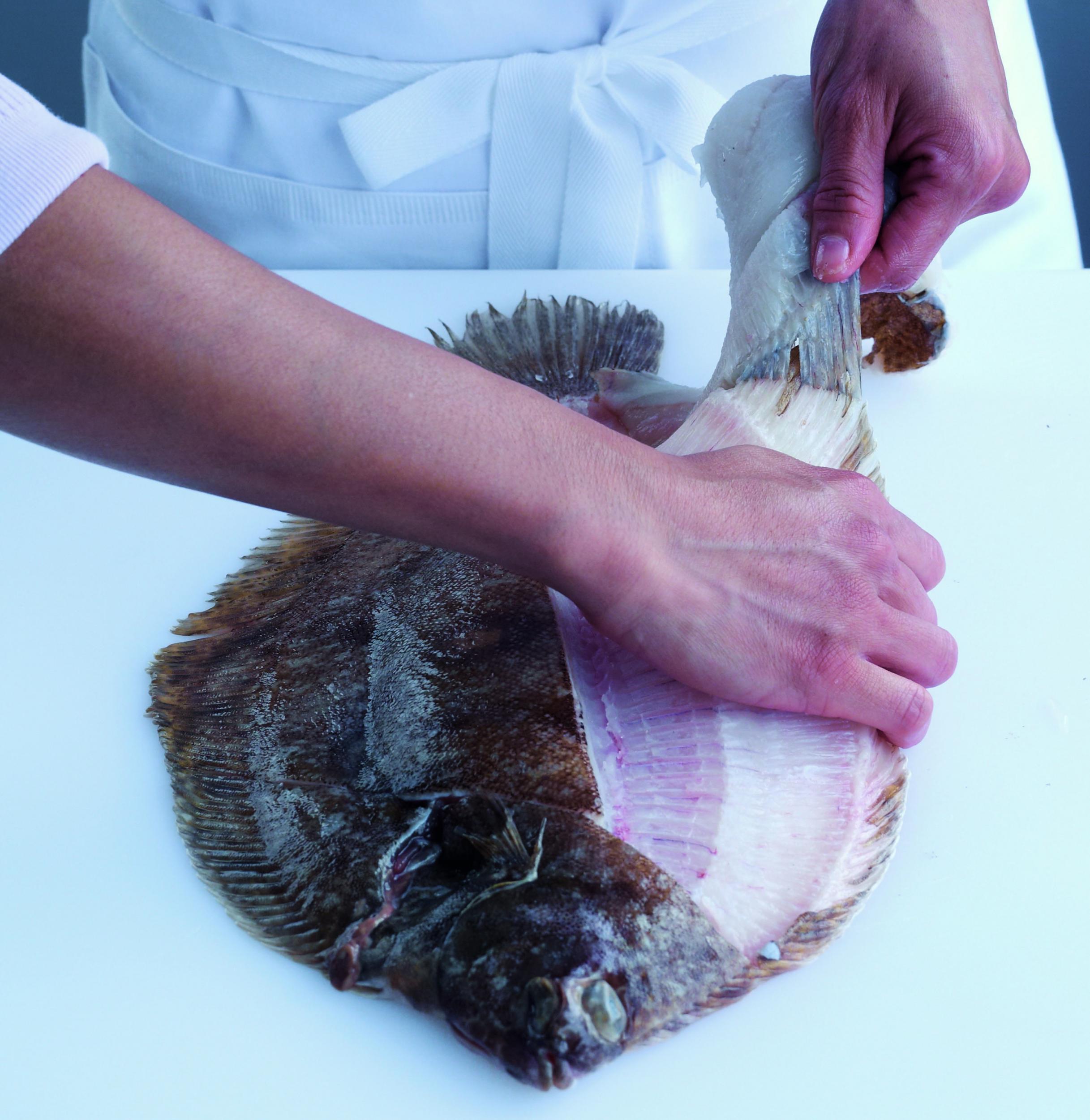 6. When you reach the frill, either grip the edge of the skin of the fillet and pull the fillet firmly away from the body, taking care not to damage the flesh, or cut the fillet away from the frill and main body of the fish