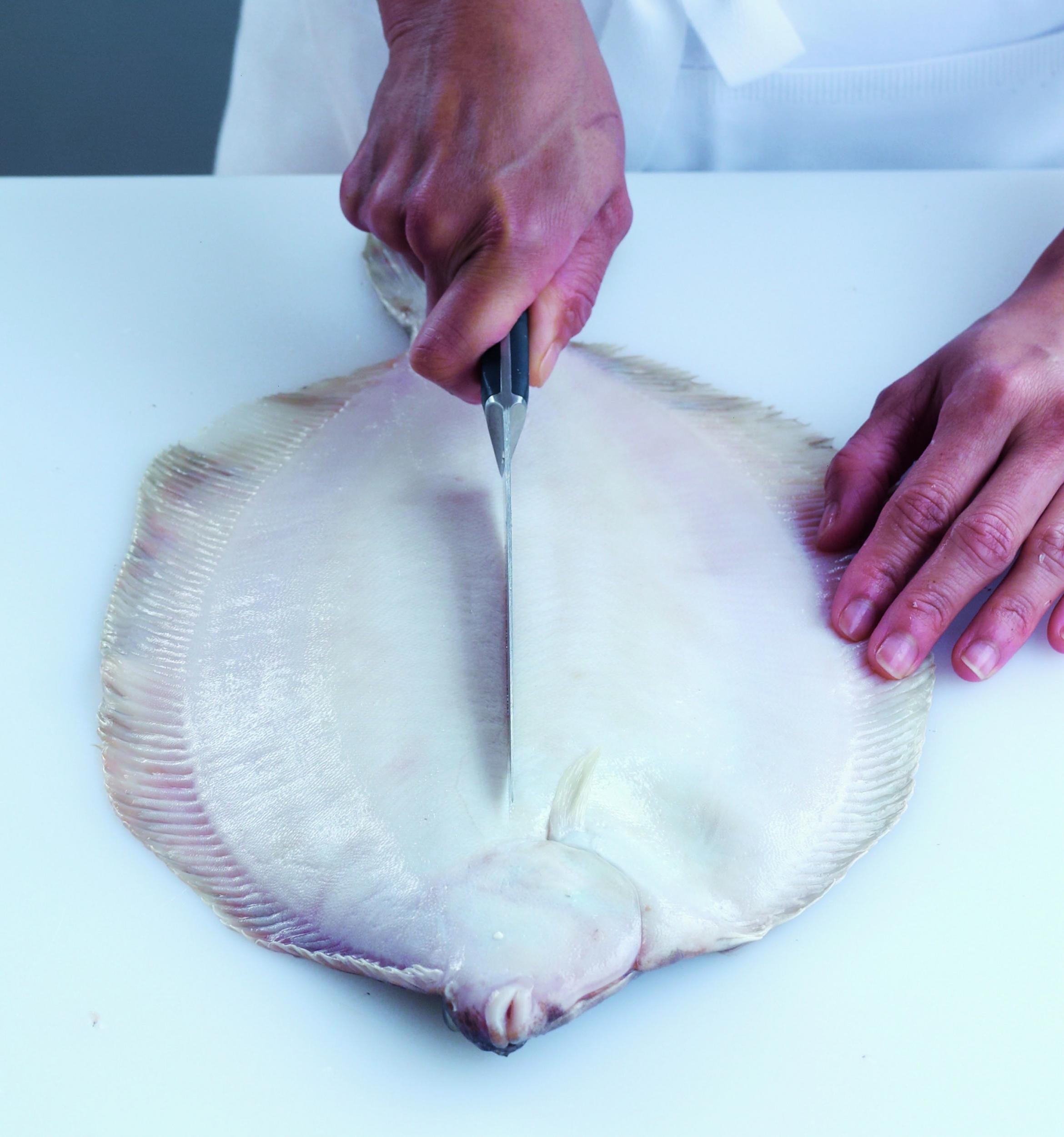 8. Turn the fish over and repeat the process on the pale underside. The skin here is a little tougher