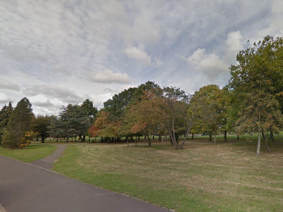 The attack took place in Roe Green Park, Brent