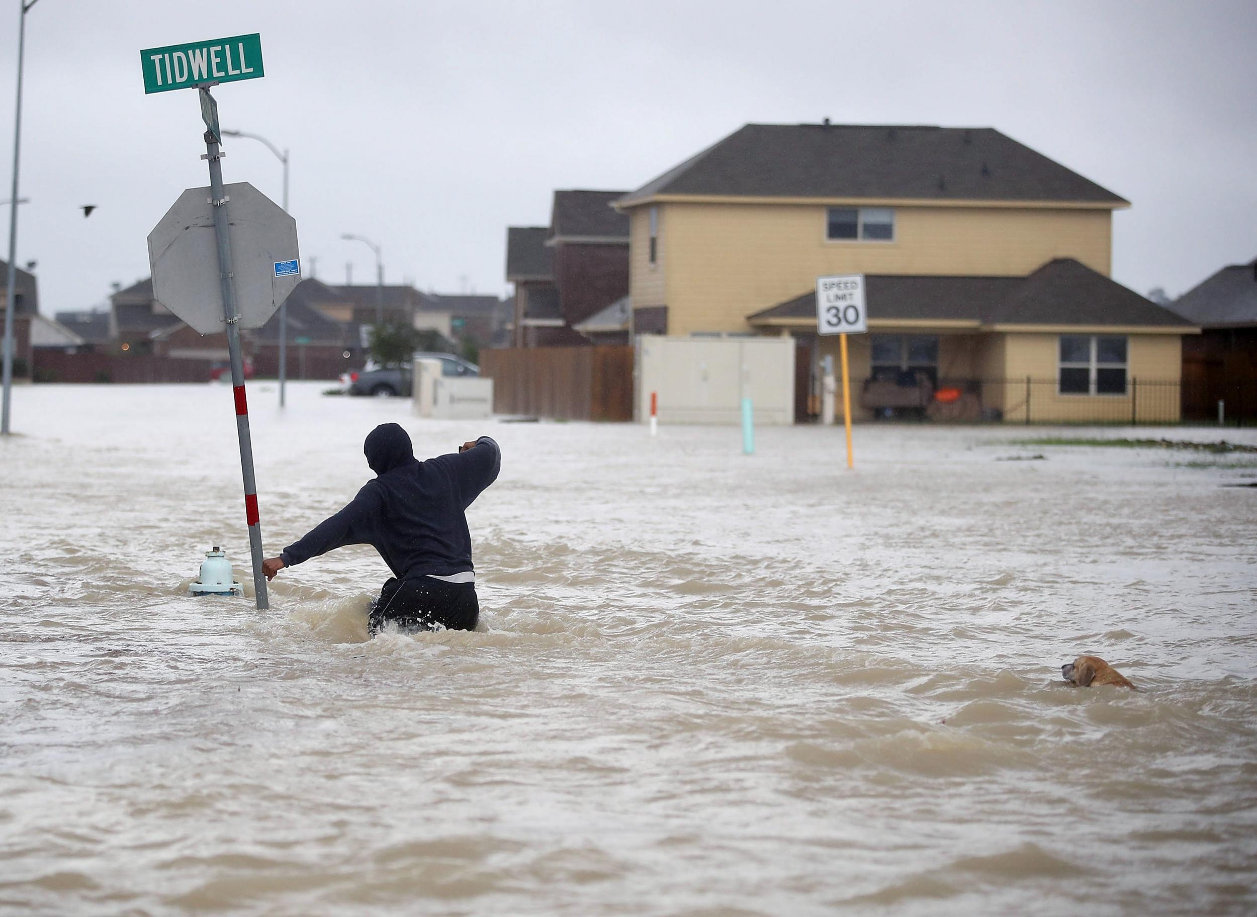 A person walks through a flooded street with a dog after the area was inundated with flooding from Hurricane Harvey in Houston, Texas