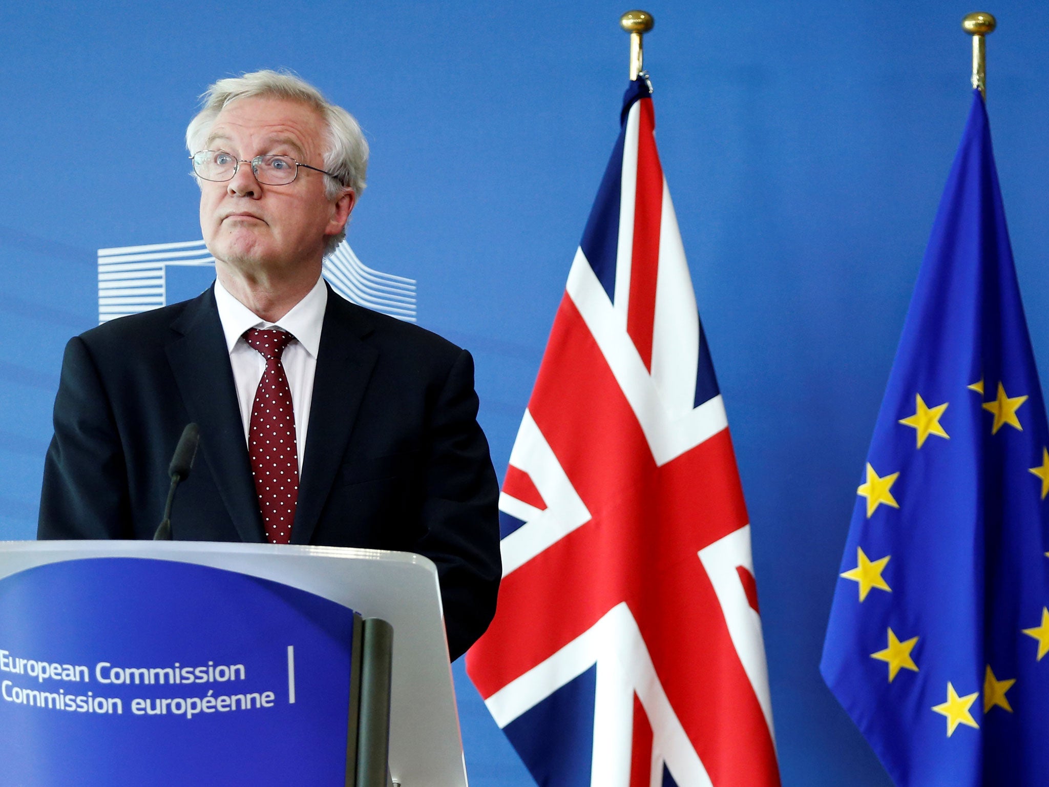 Secretary of State for Exiting the European Union David Davis