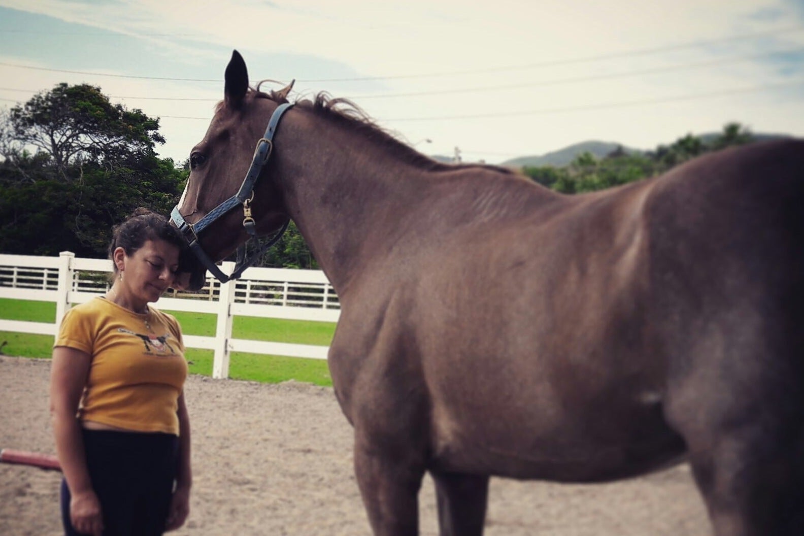 Xenia builds up a level of trust – eventually – with her horse Razzmo