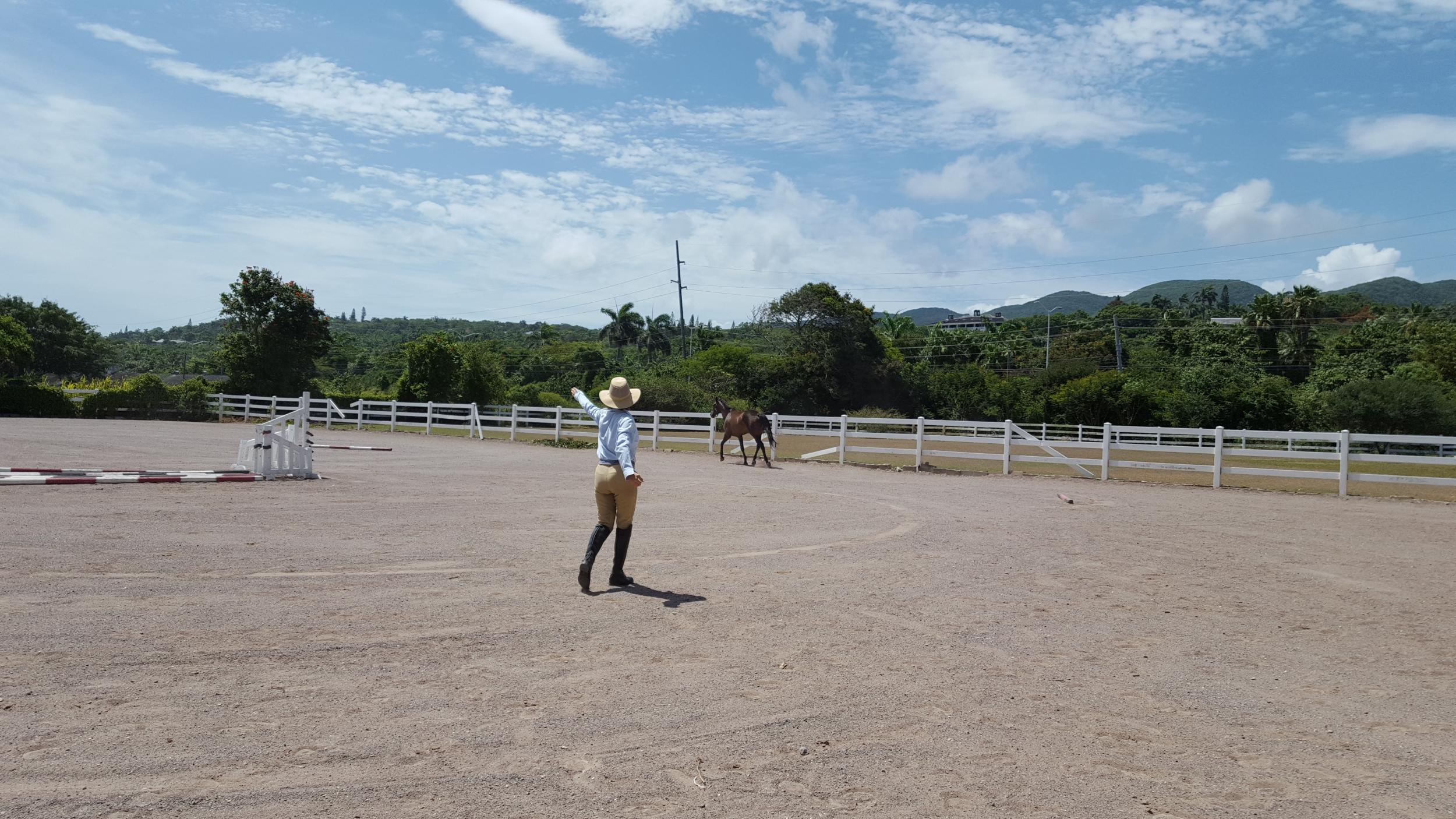 Trina DeLisser is founder of the Half Moon Equestrian Centre