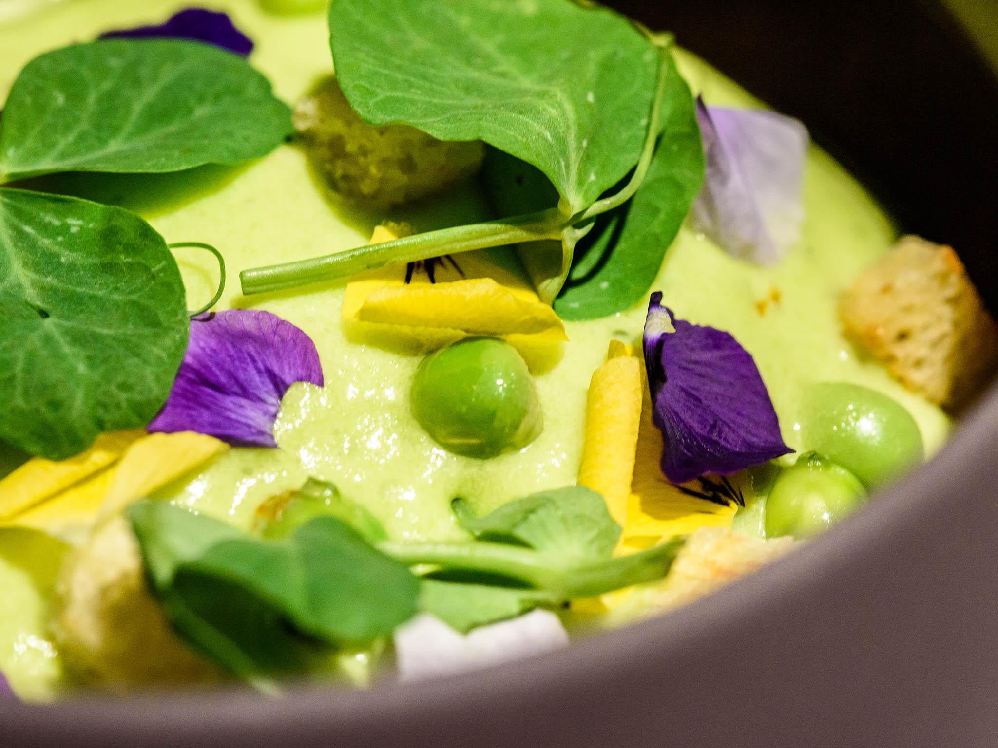 Immaculate presentation: English pea custard