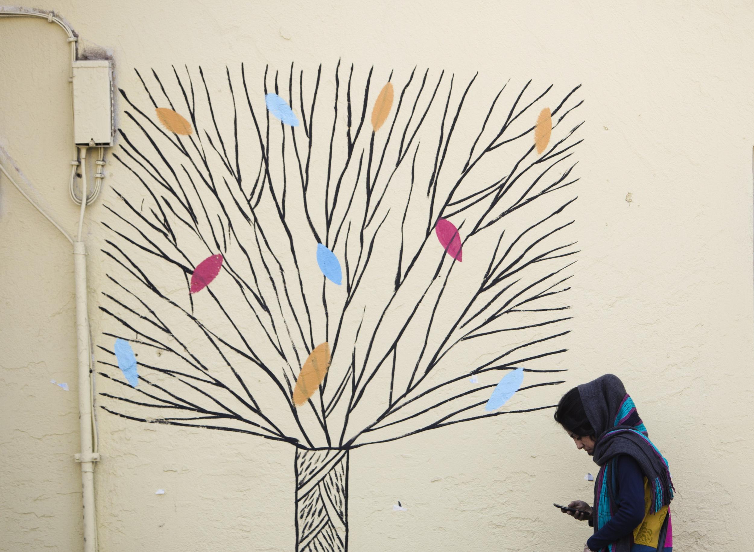 An woman checks her mobile phone as she walks past graffiti of a tree in central Tehran in this file photo from 31 December 2014