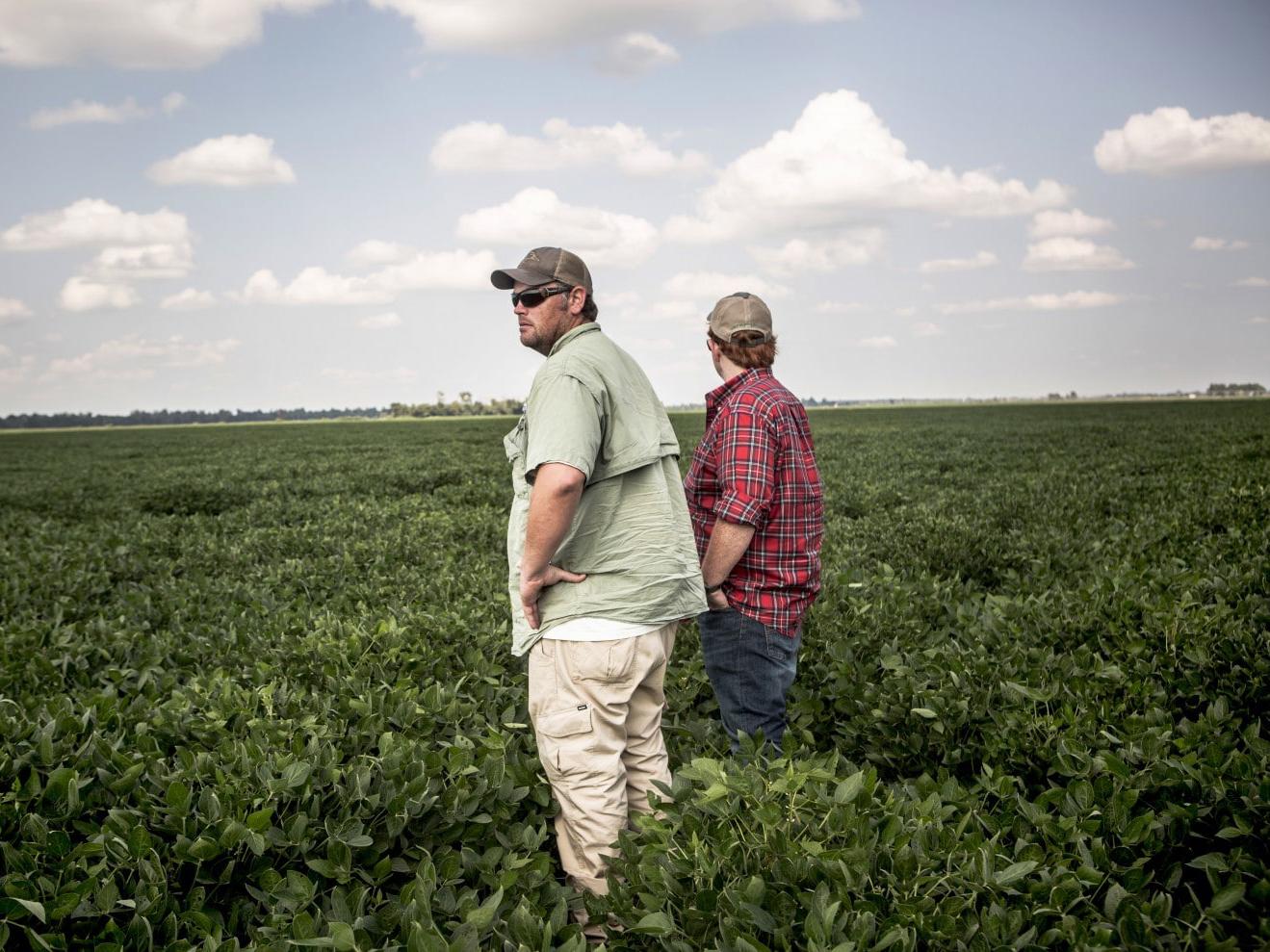 Man-made disaster raises serious questions about the state of US agriculture