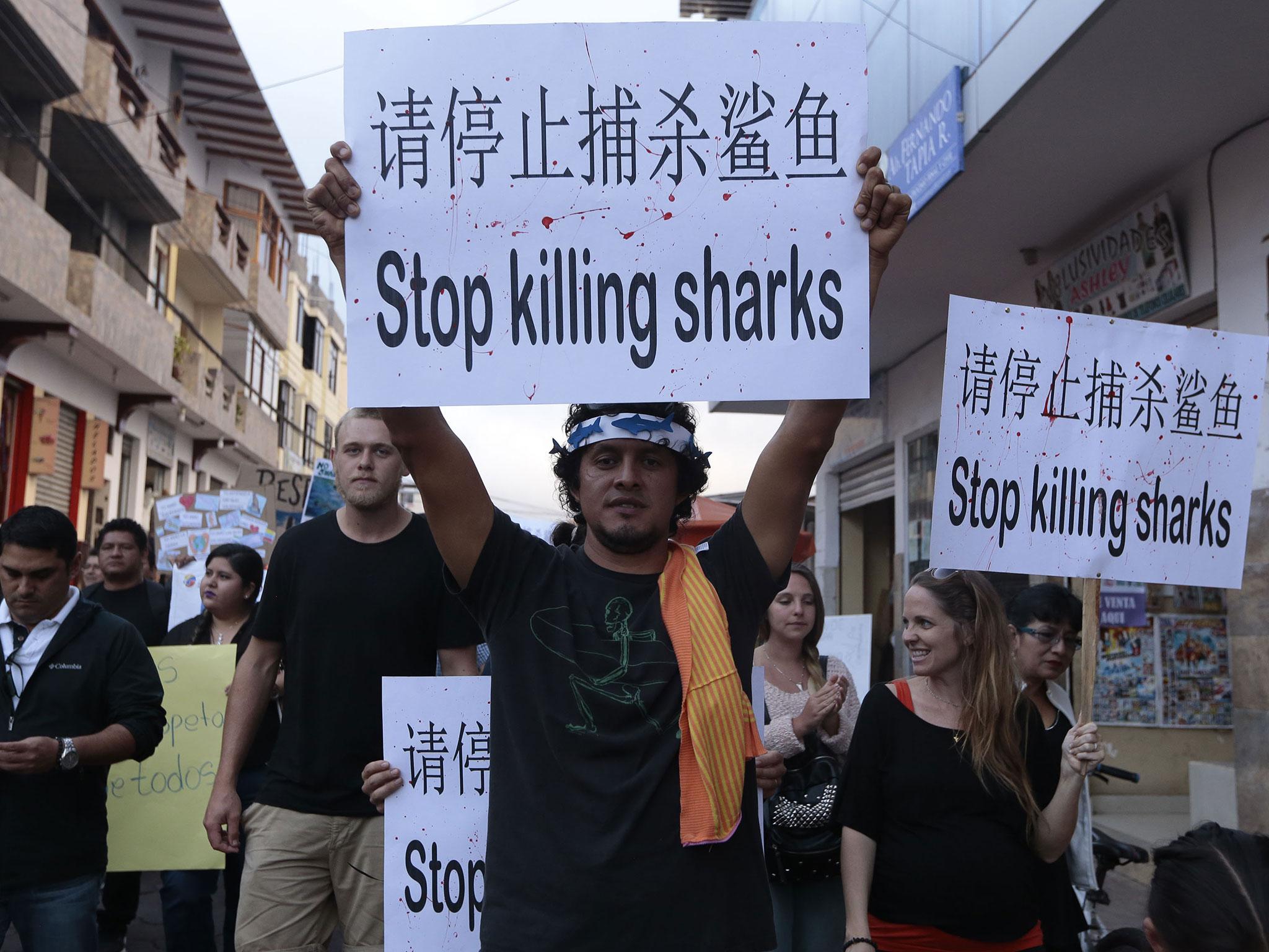 Inhabitants of Santa Cruz Island in Galapagos, Ecuador, took to the streets to protest against illegal fishing around the islands