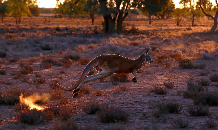 Over 200 weather records were broken in Australia during the summer of 2016, with extreme bushfires and heatwaves