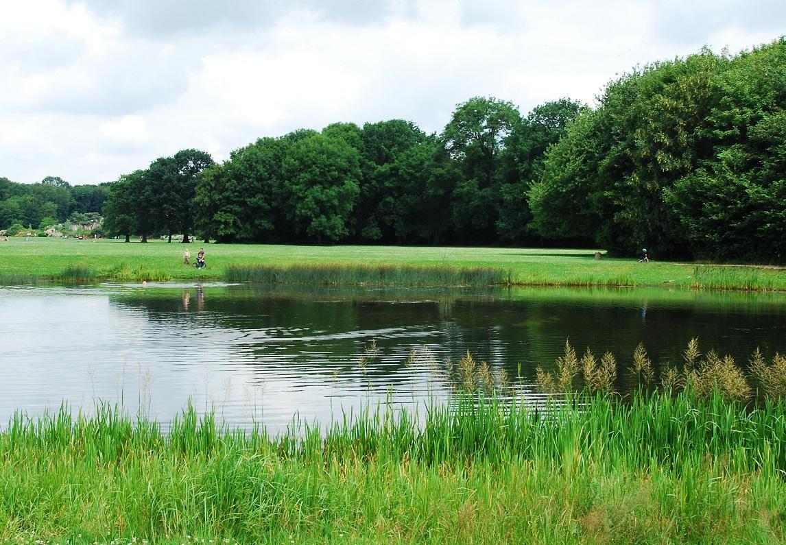 A jogger was sexually assaulted in Leipzig's Rosental Park