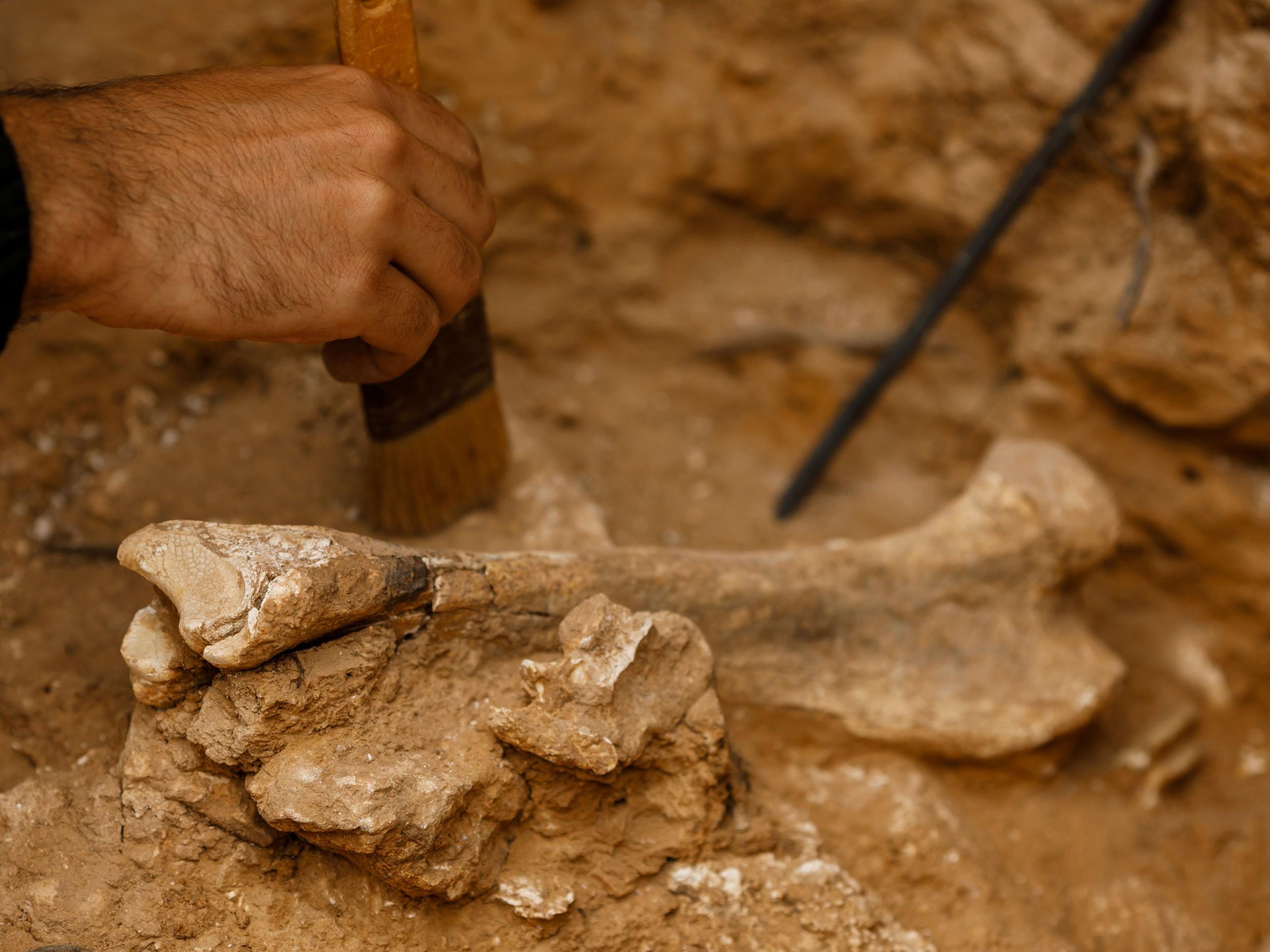 Findings from an archaeological dig (not pictured) show Bronze Age women travelled far