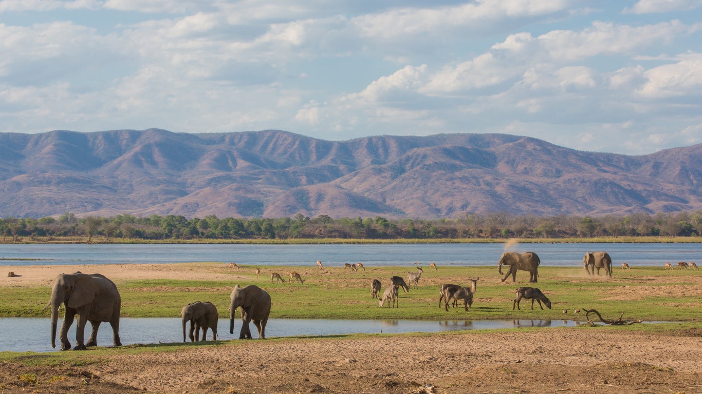 Wildlife on the Zambezi river, Zambia