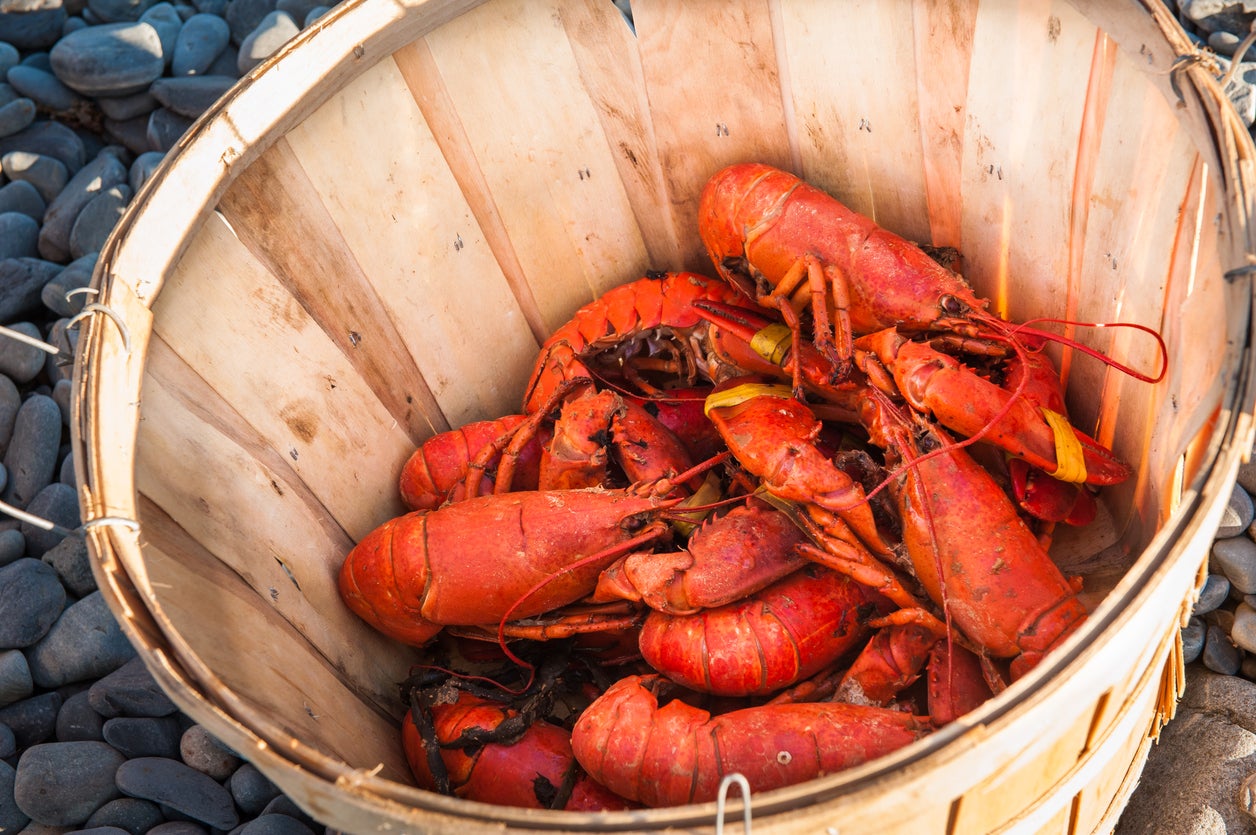 Eat freshly caught lobster at the Longstone Lodge and Cafe (Getty/iStockphoto)