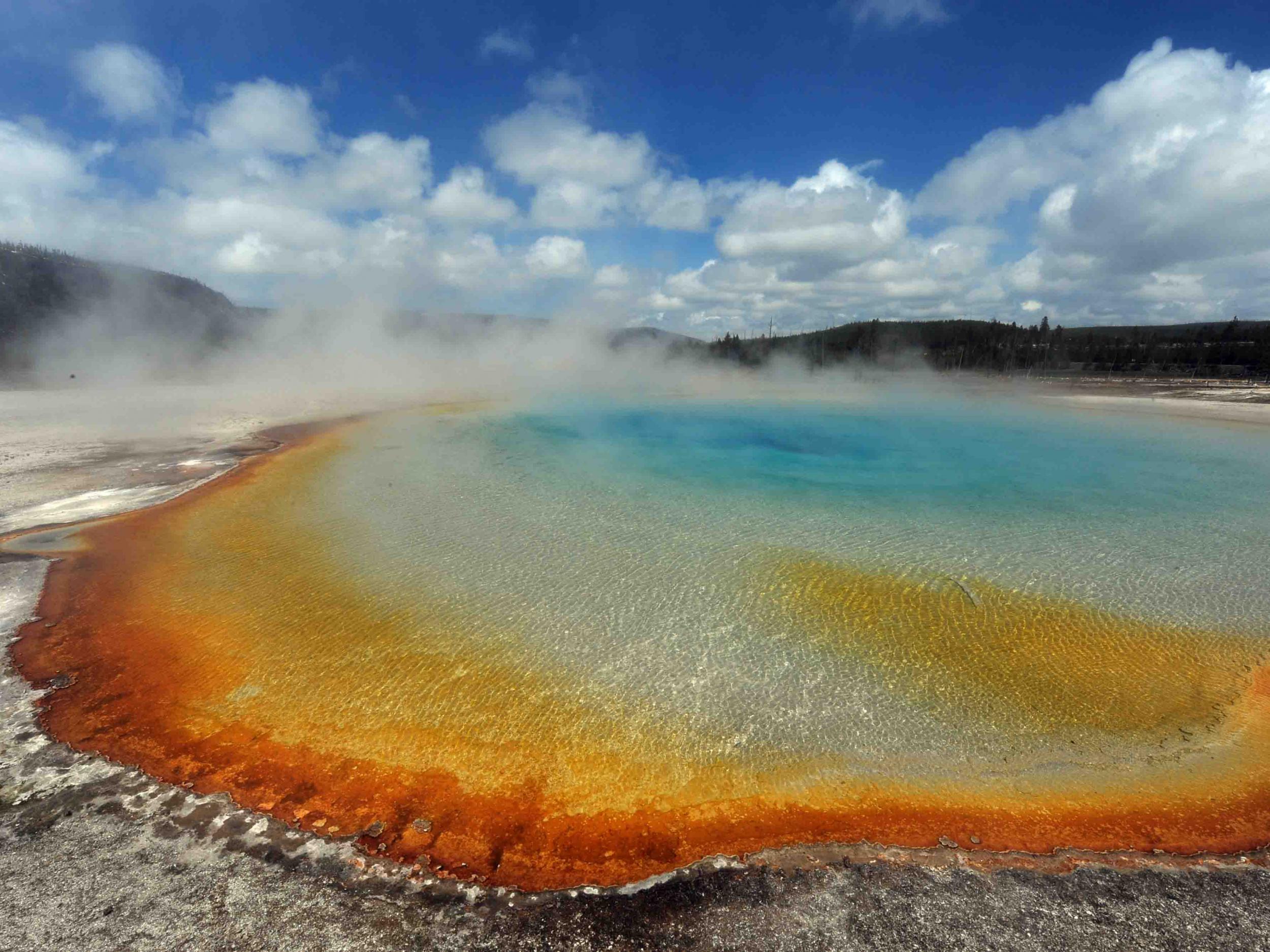 If microbes can exist in Yellowstone National Park’s 90C pools, why not in harsh conditions on other planets?